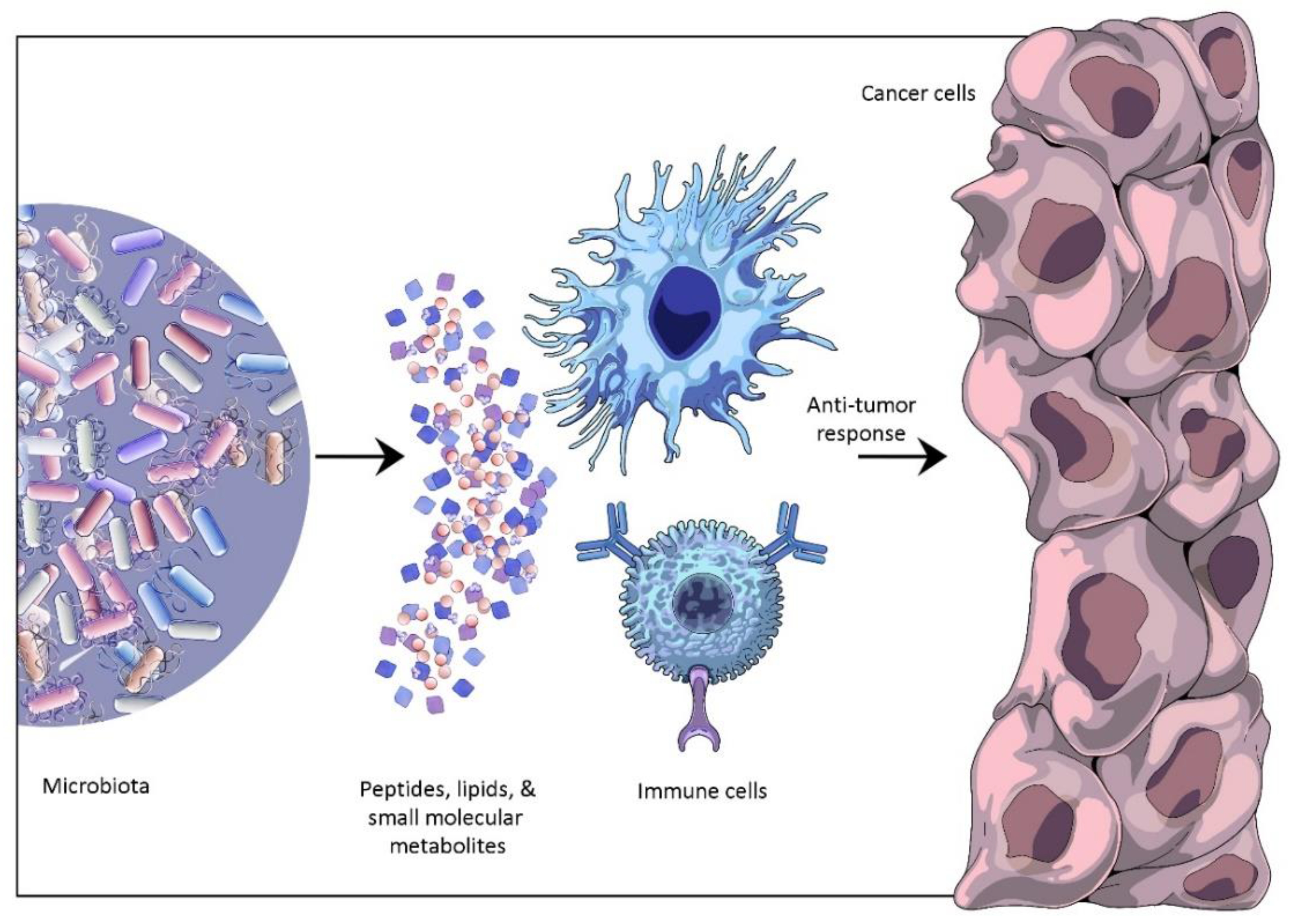 Cancers 14 05121 g002 Cancers 14 05121 g002