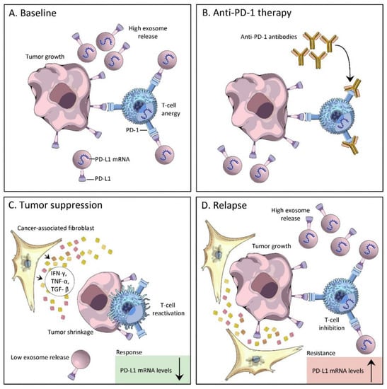 Microbiota And Extracellular Vesicles In Anti Pd 1 Pd L1 Therapy