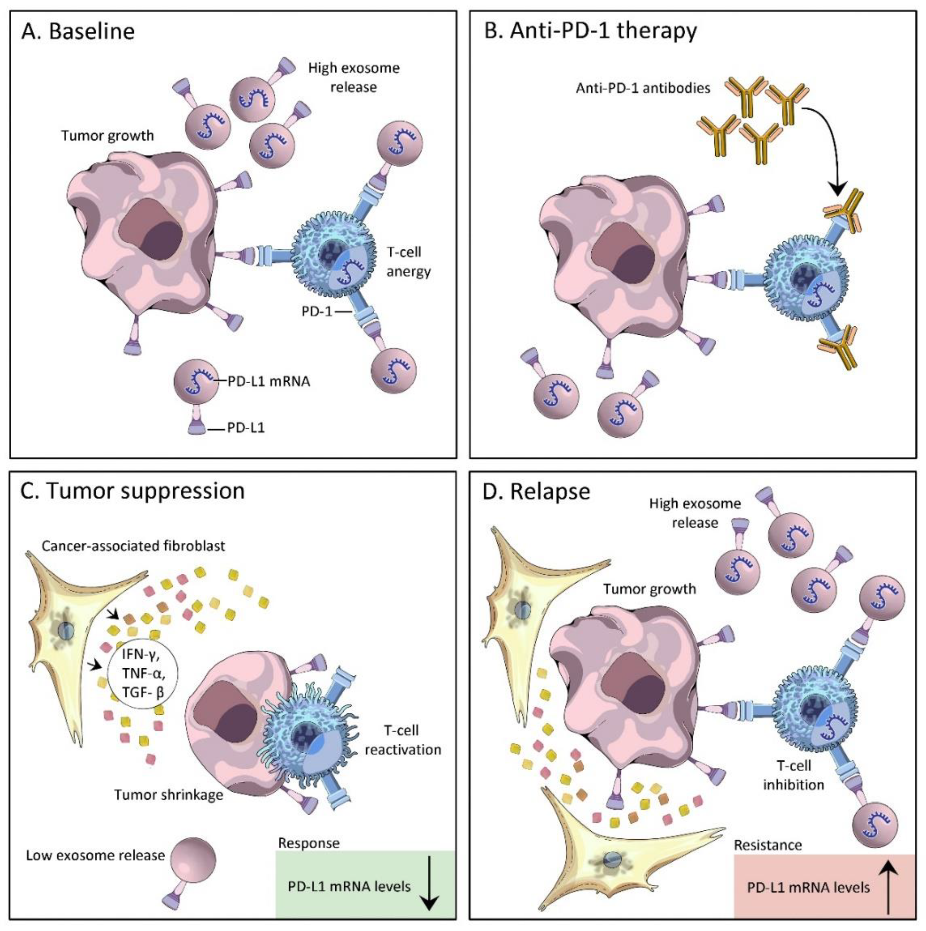 Cancers 14 05121 g004 Cancers 14 05121 g004