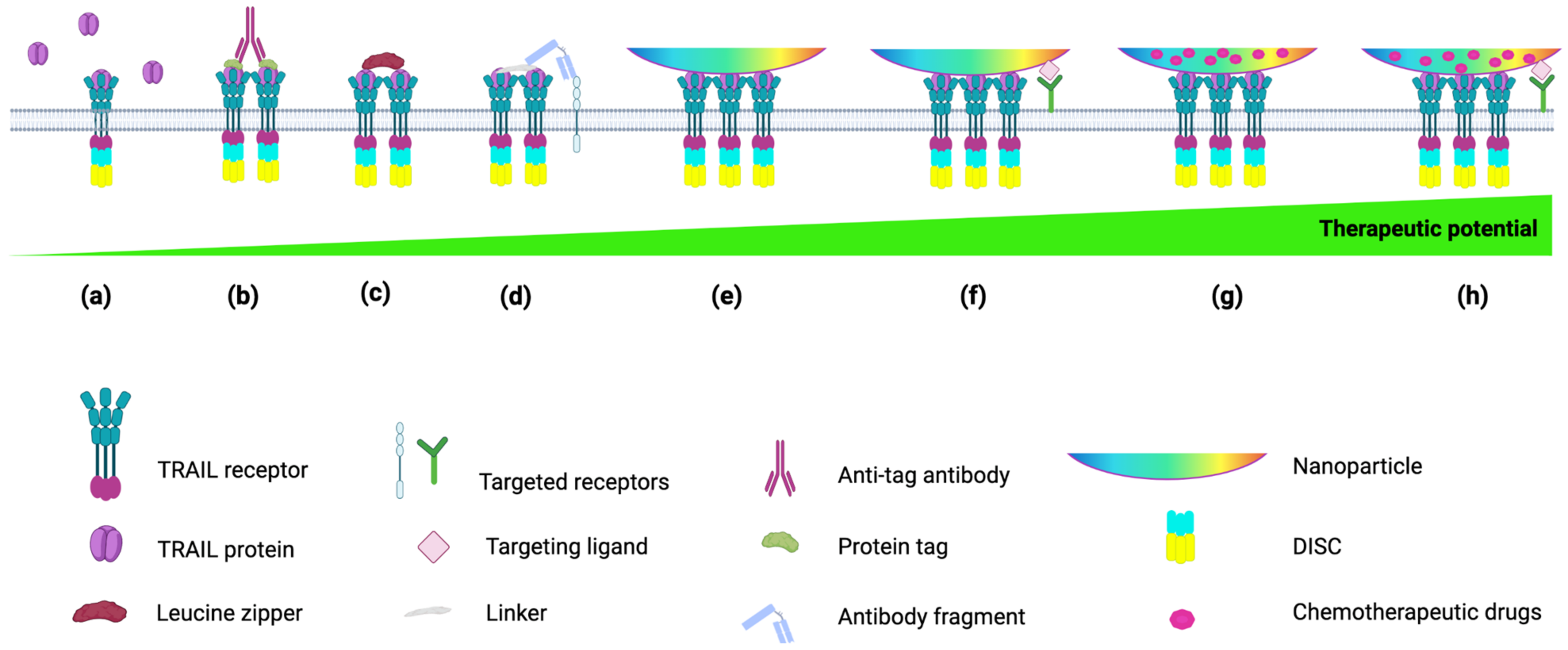 Cancers 14 05125 g002 Cancers 14 05125 g002