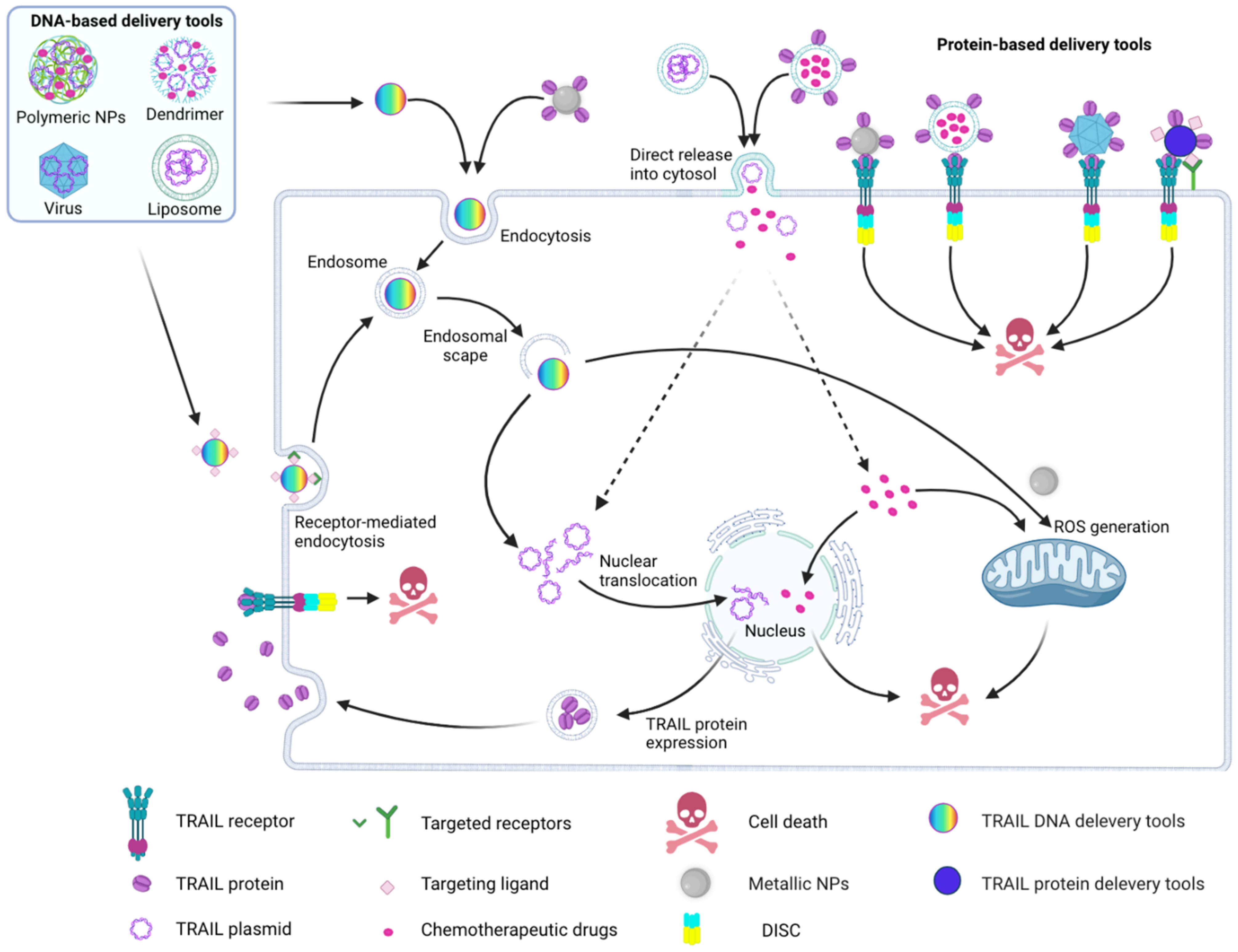 Cancers 14 05125 g003 Cancers 14 05125 g003