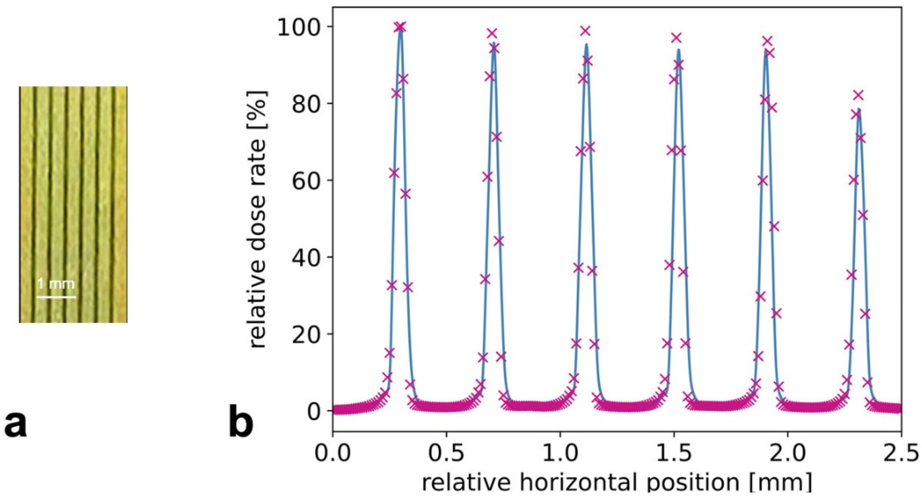 Cancers 14 05137 g006