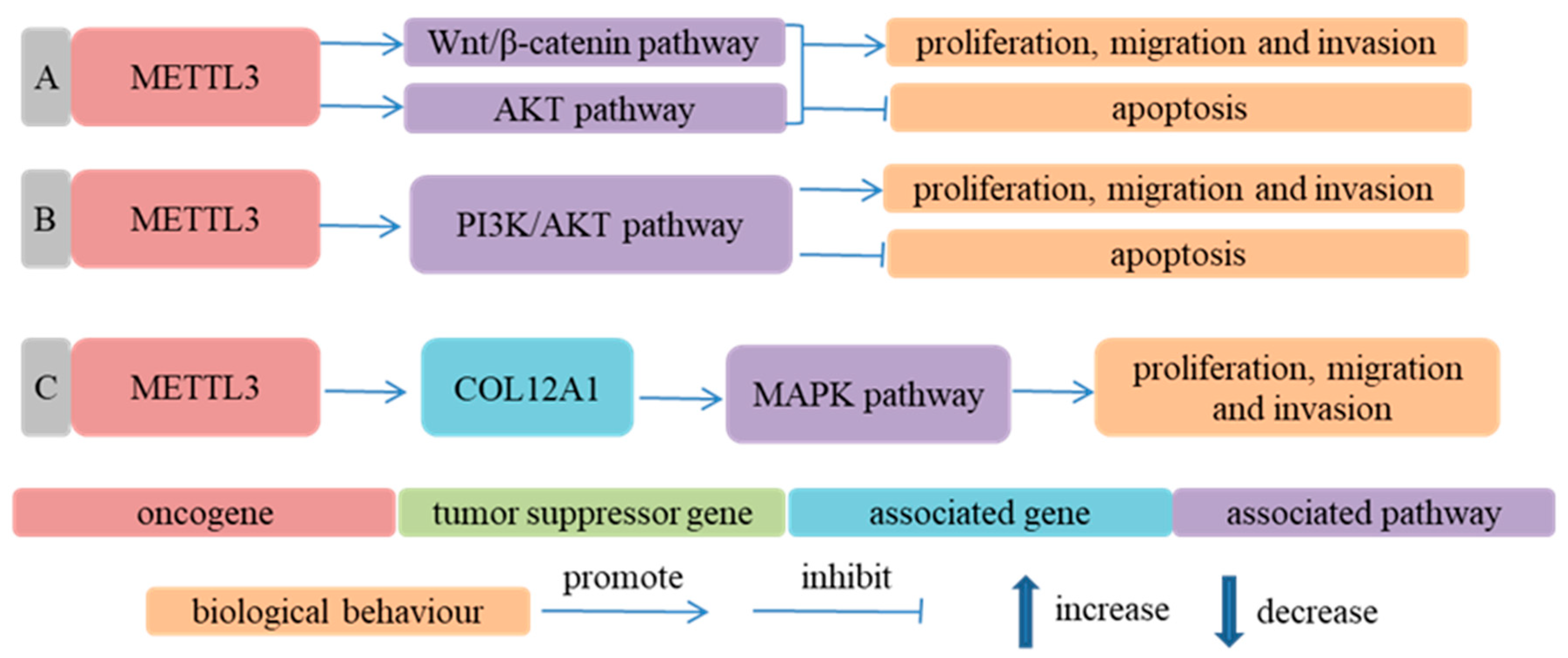 Cancers 14 05139 g004