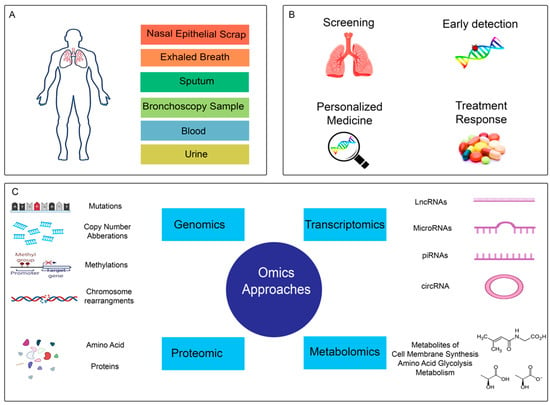 Building a Hub to Catch Lung Cancer Early