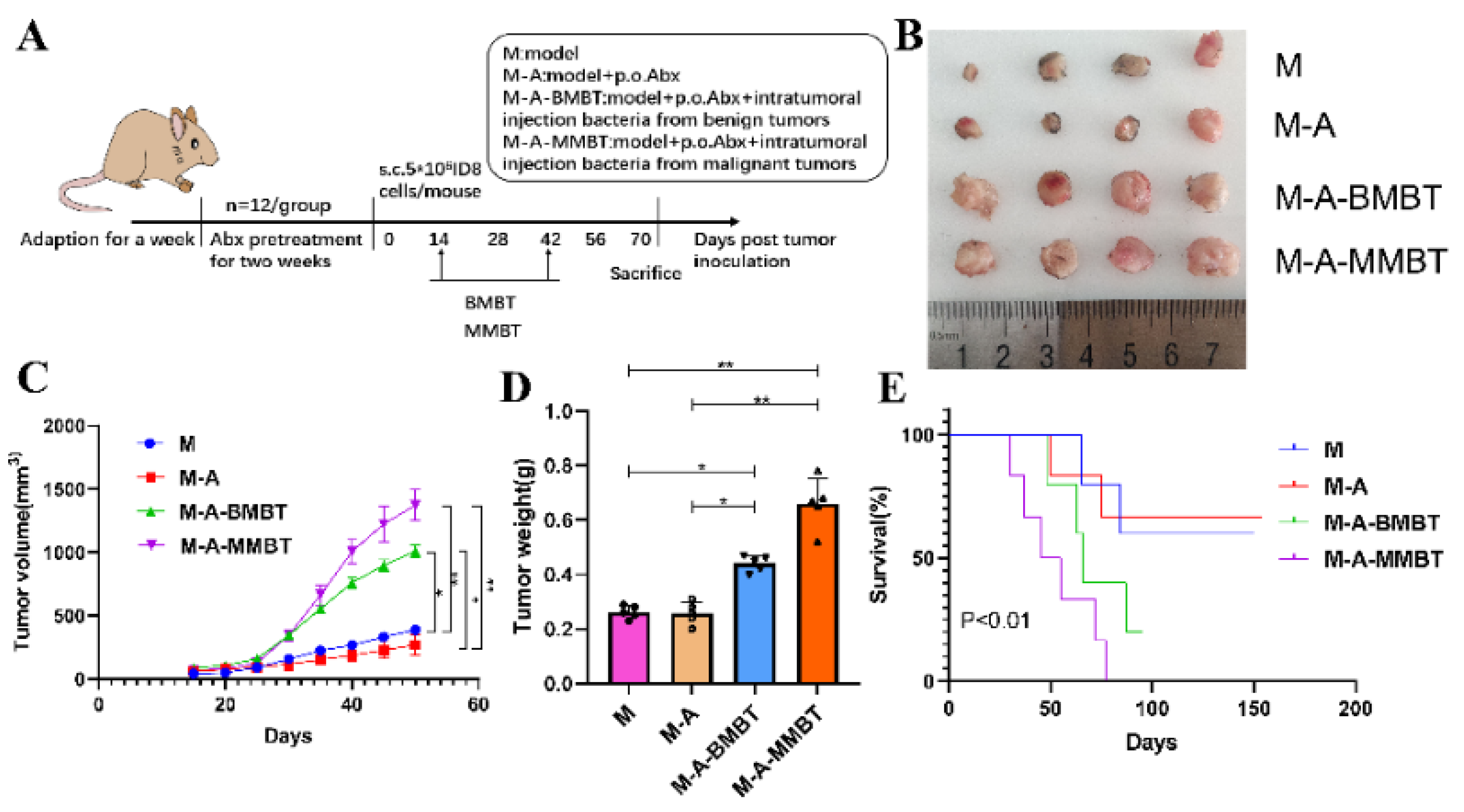 Cancers 14 05178 g003 Cancers 14 05178 g003