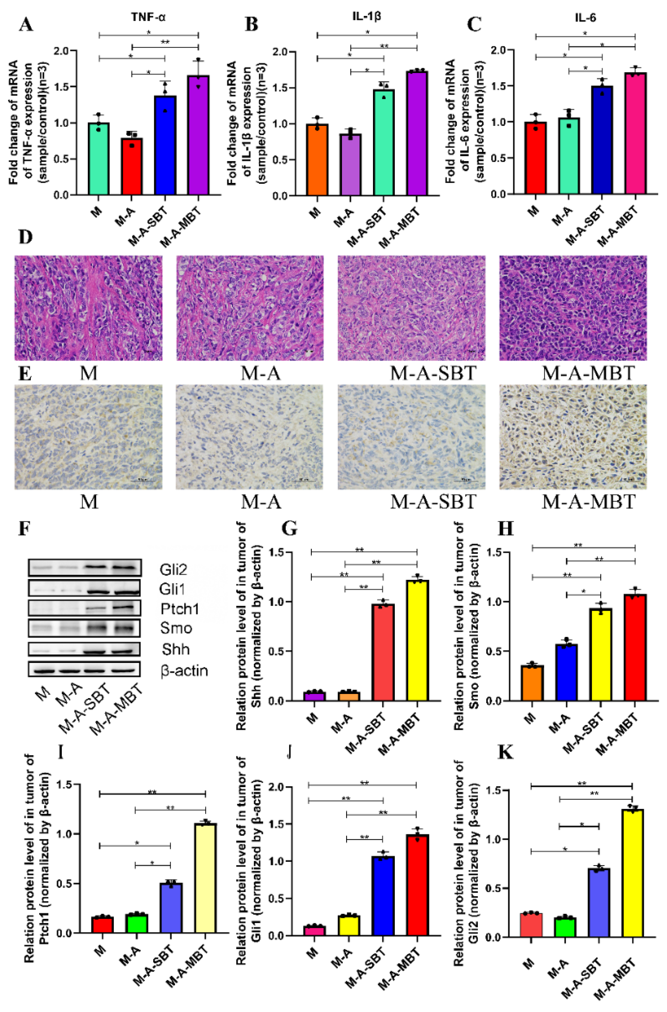 Cancers 14 05178 g005 Cancers 14 05178 g005