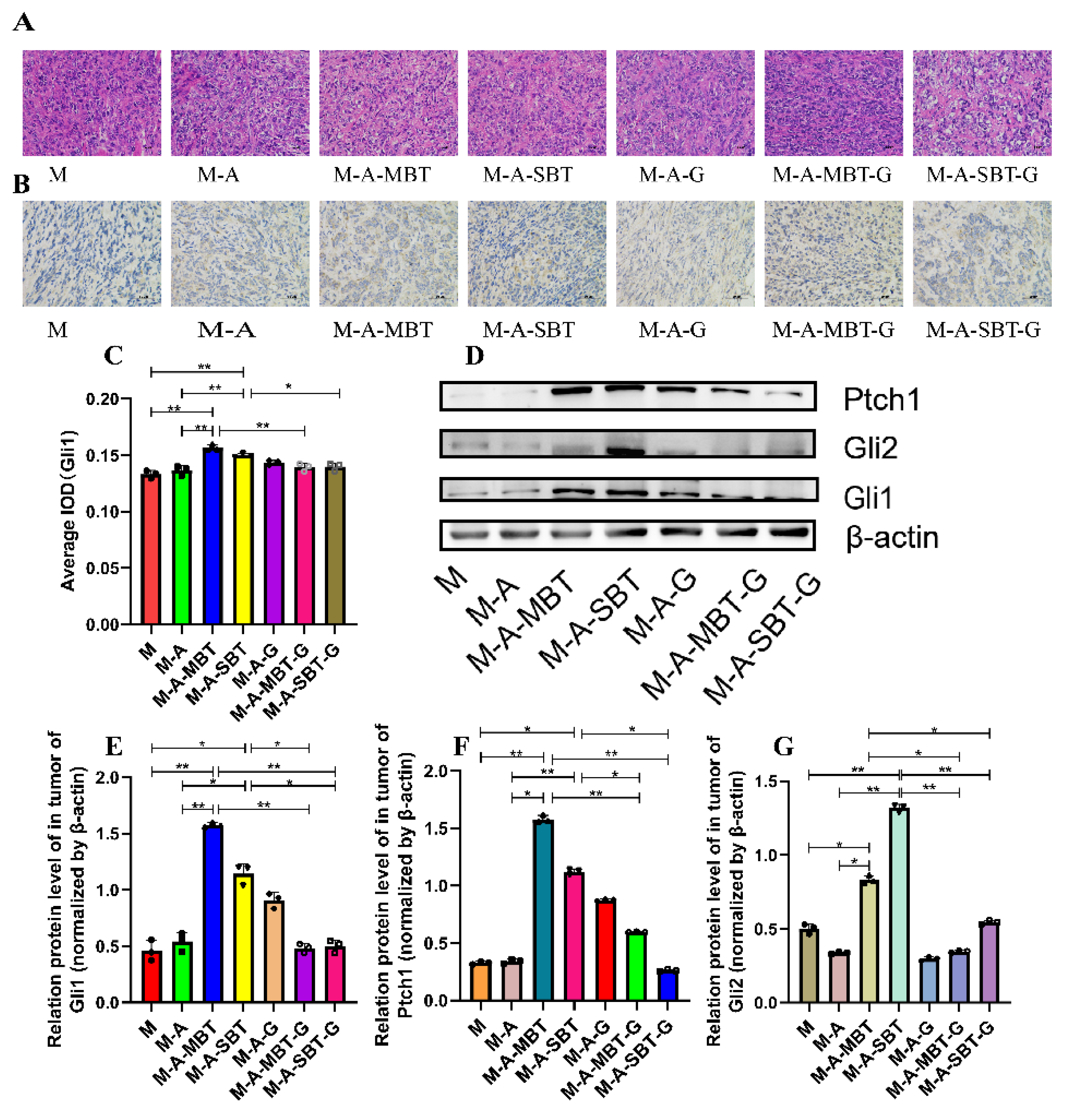 Cancers 14 05178 g006 Cancers 14 05178 g006