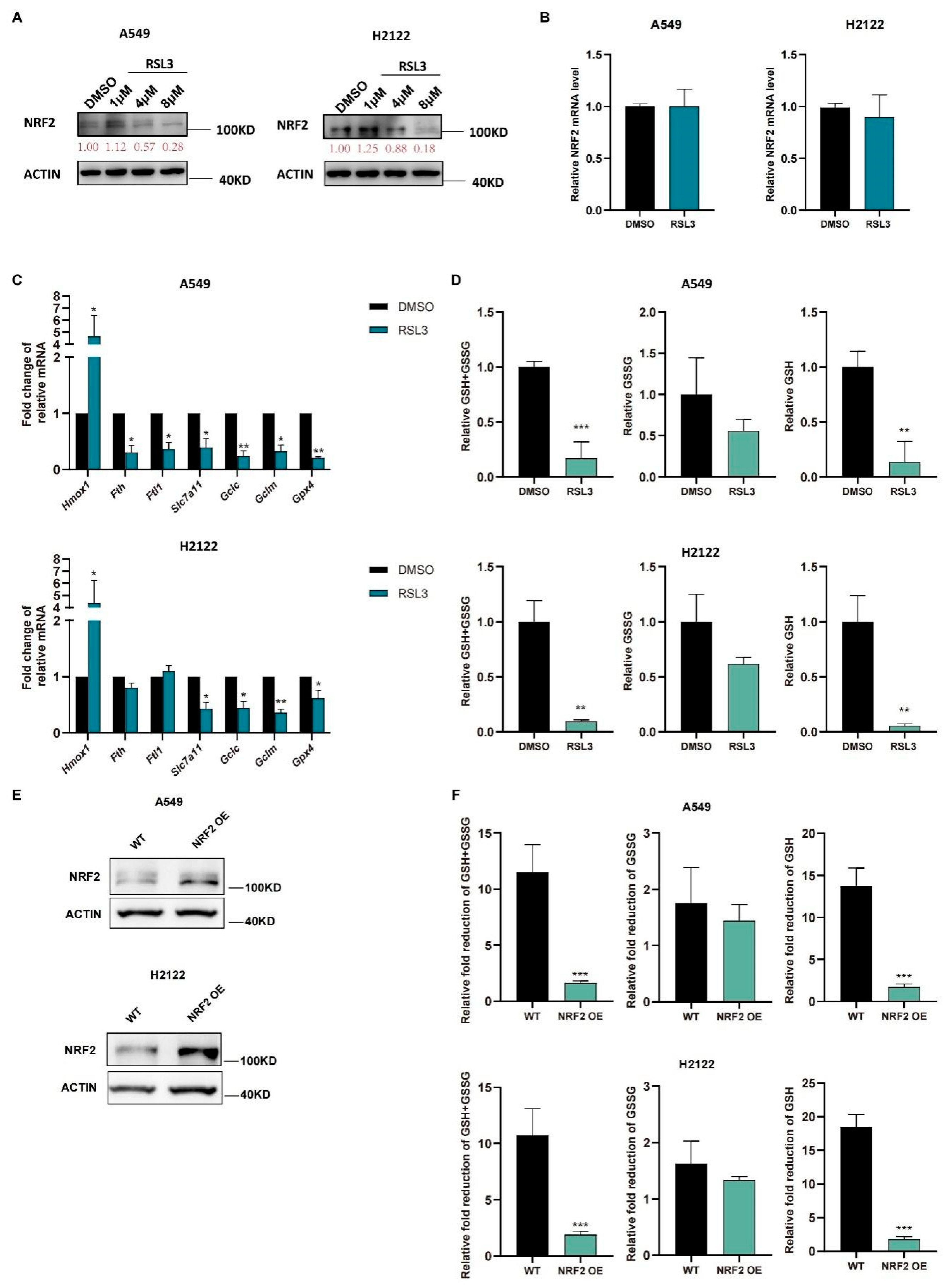 Cancers 14 05233 g003