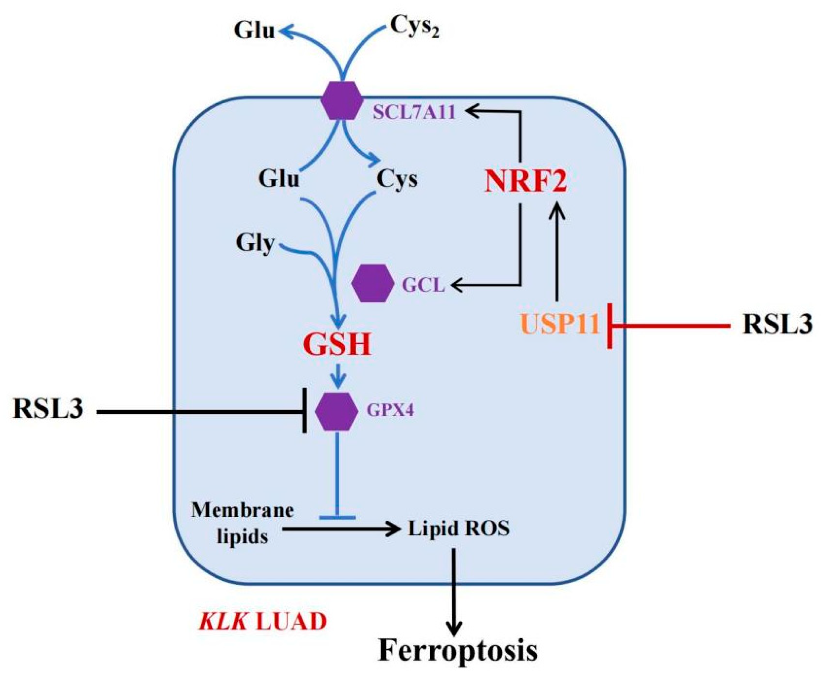 Cancers 14 05233 g007