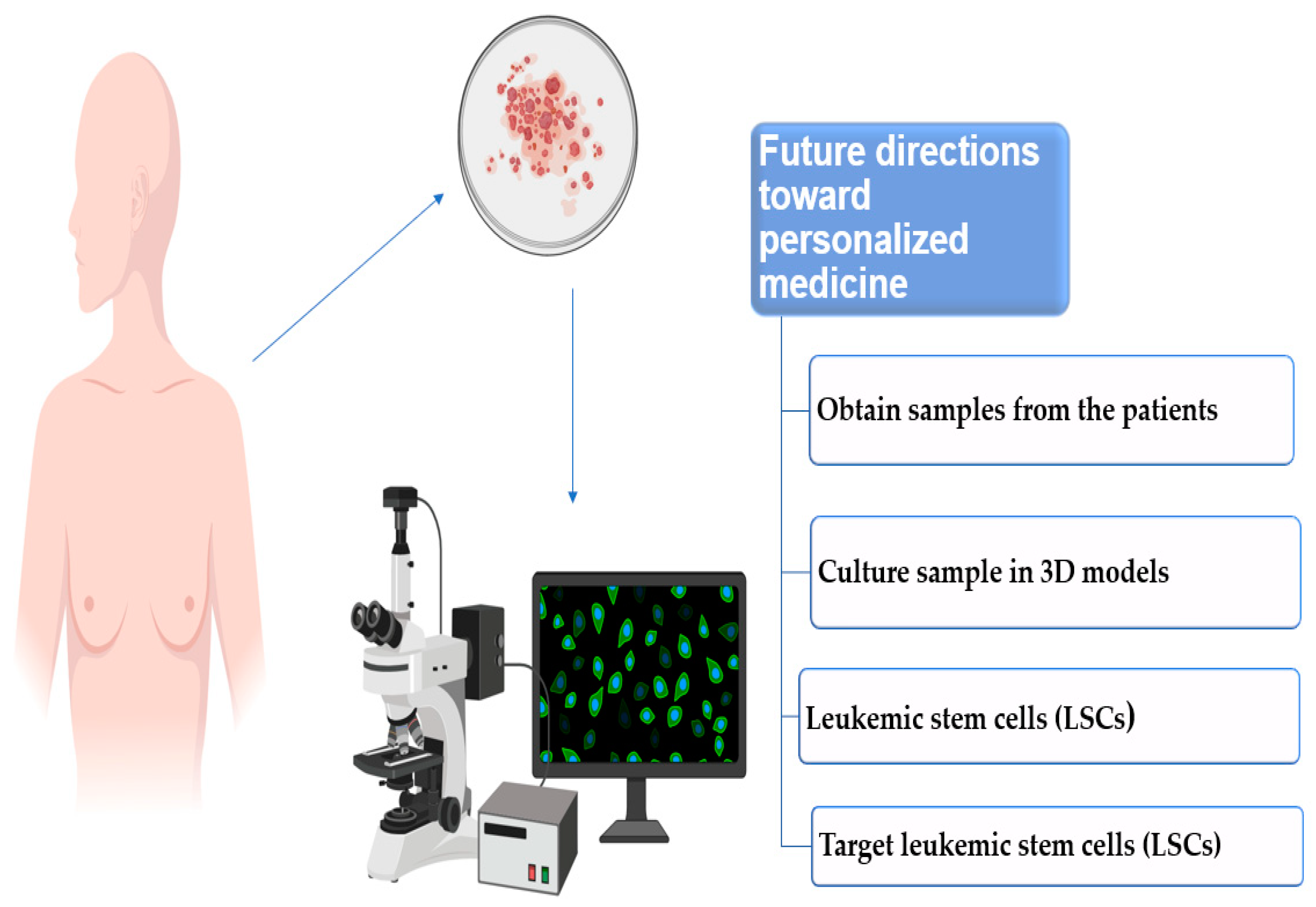 Cancers Free Full Text The Potential Role Of 3d In Vitro Acute Myeloid Leukemia Culture 6701