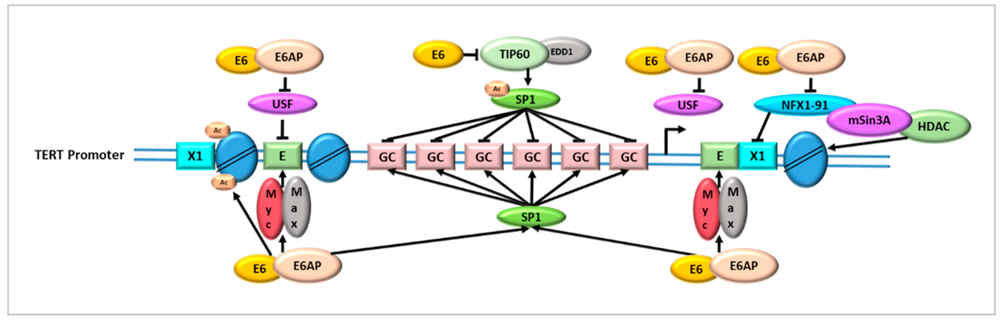 Cancers 14 05257 g001 Cancers 14 05257 g001
