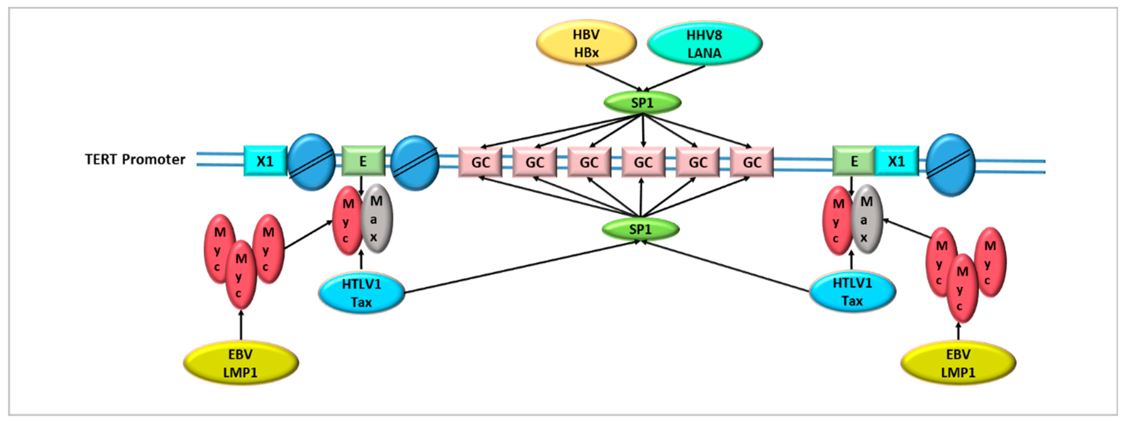 Cancers 14 05257 g002 Cancers 14 05257 g002