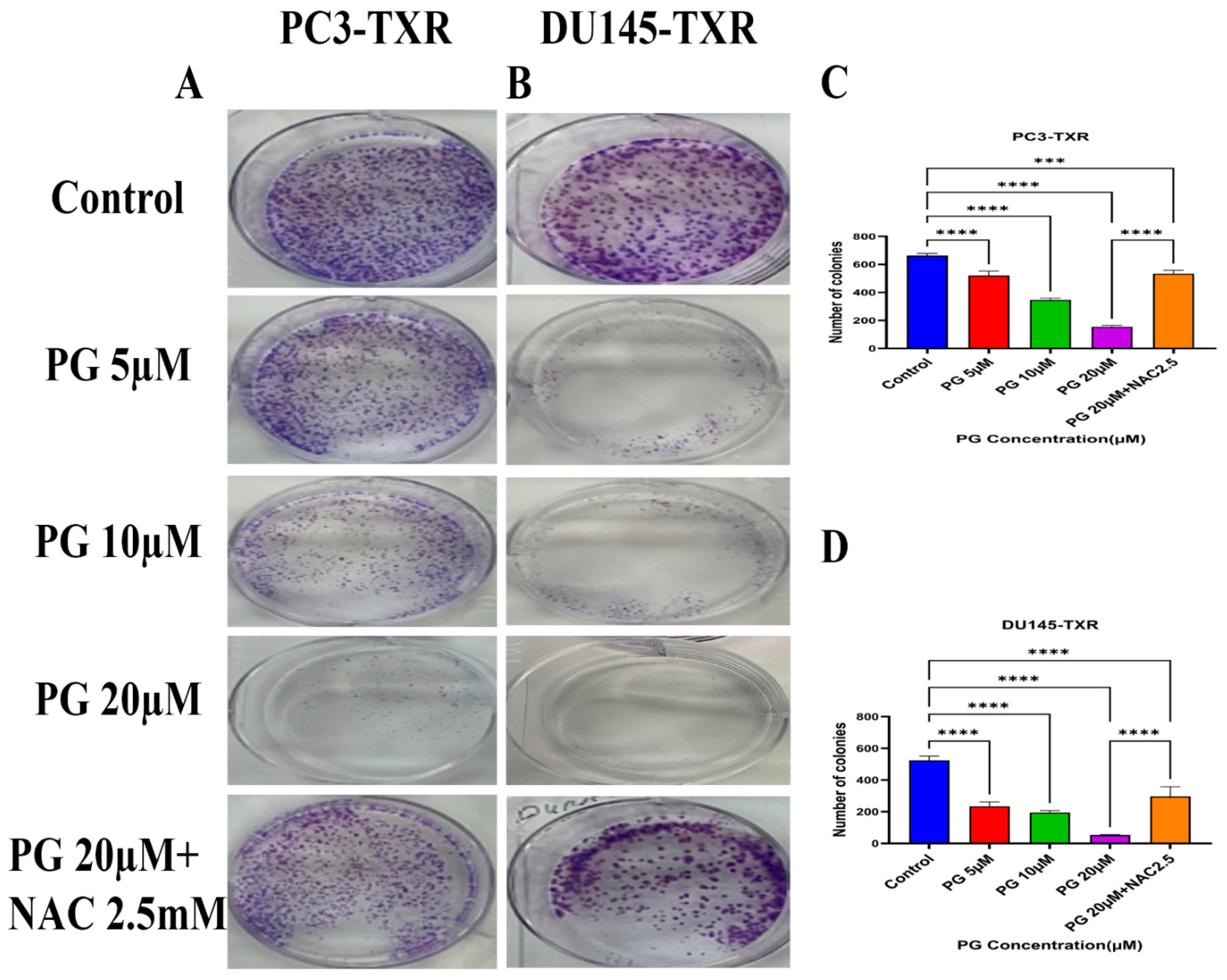 Cancers 14 05260 g003 Cancers 14 05260 g003