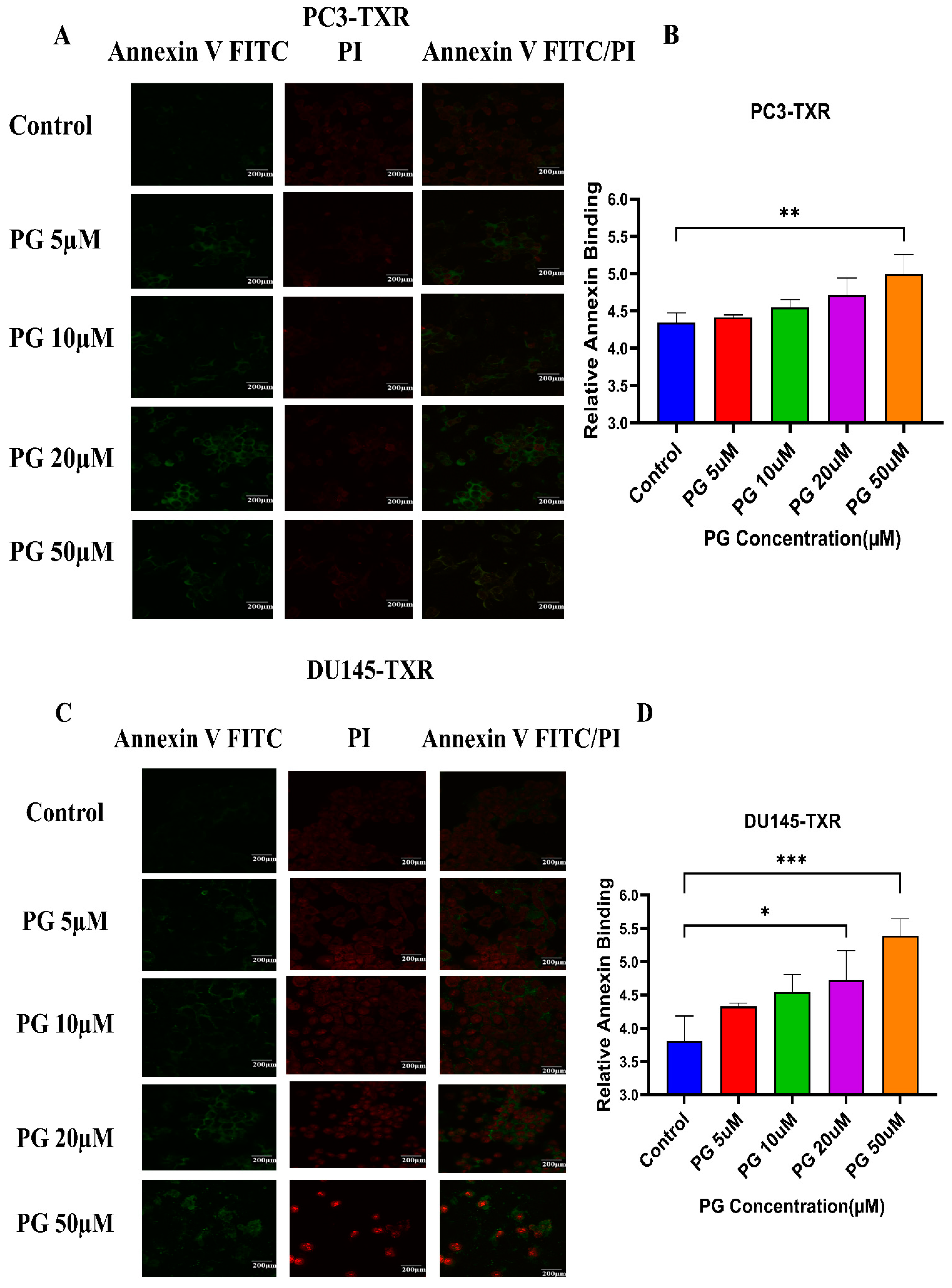 Cancers 14 05260 g005 Cancers 14 05260 g005