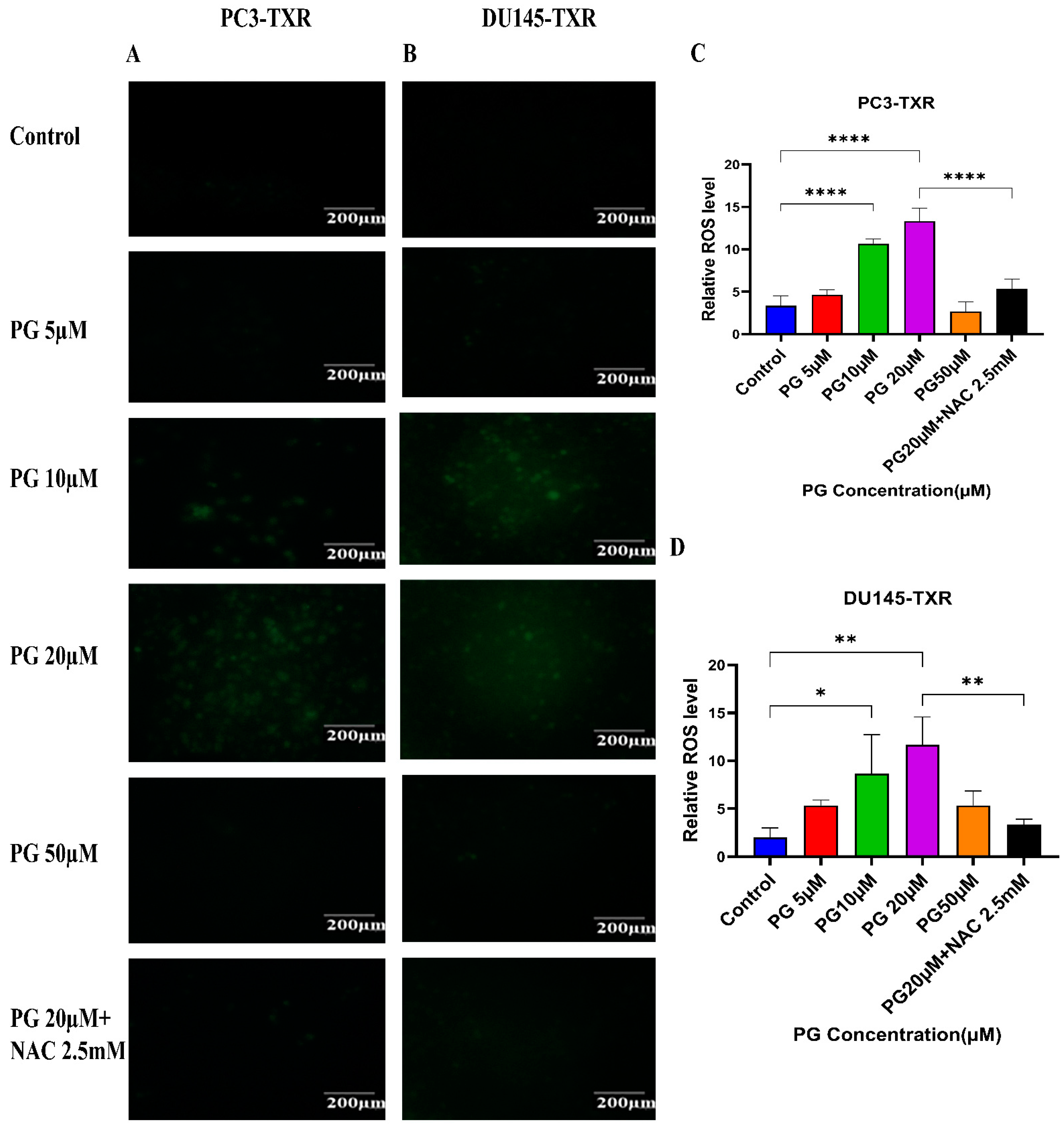 Cancers 14 05260 g010 Cancers 14 05260 g010