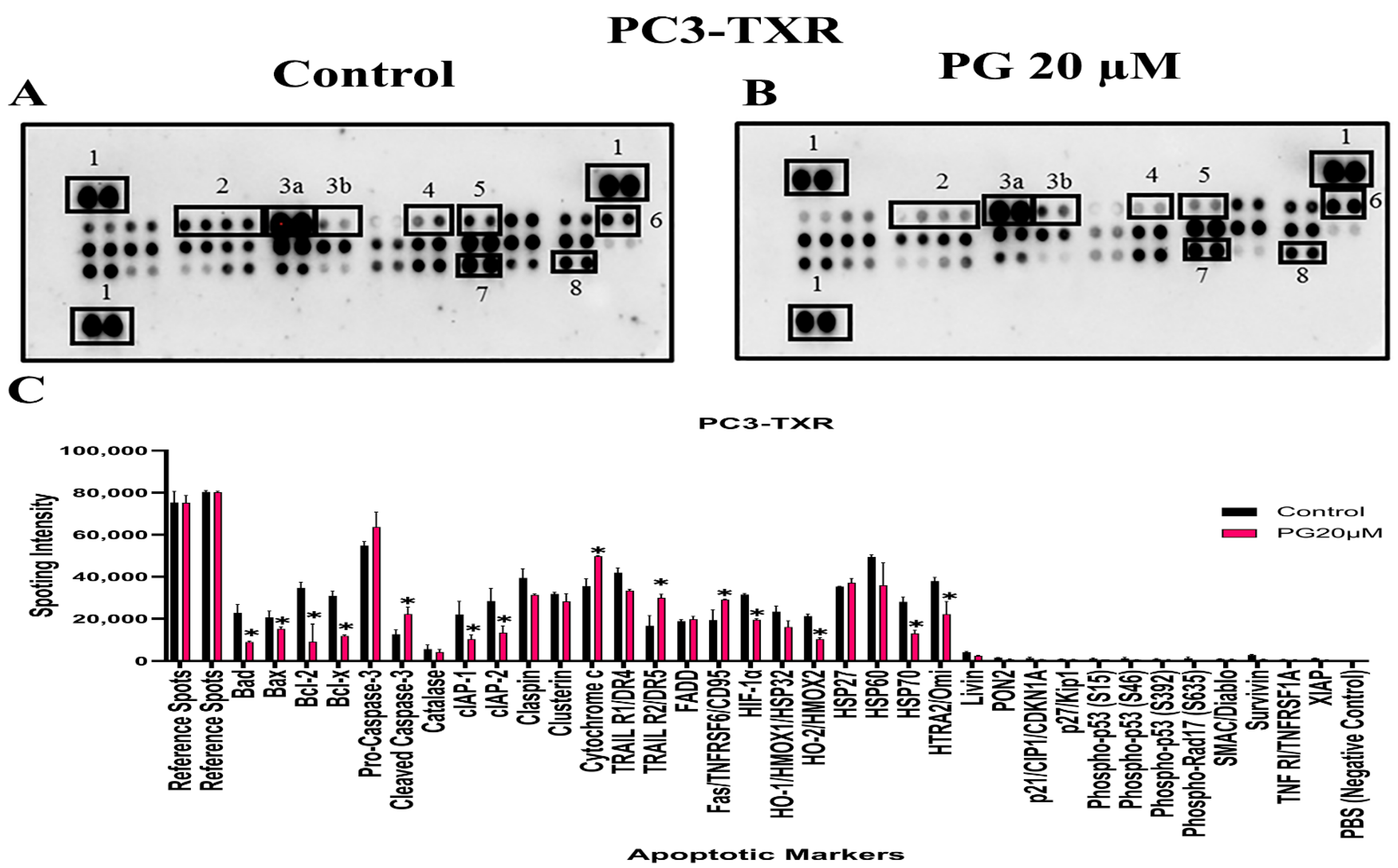Cancers 14 05260 g012 Cancers 14 05260 g012