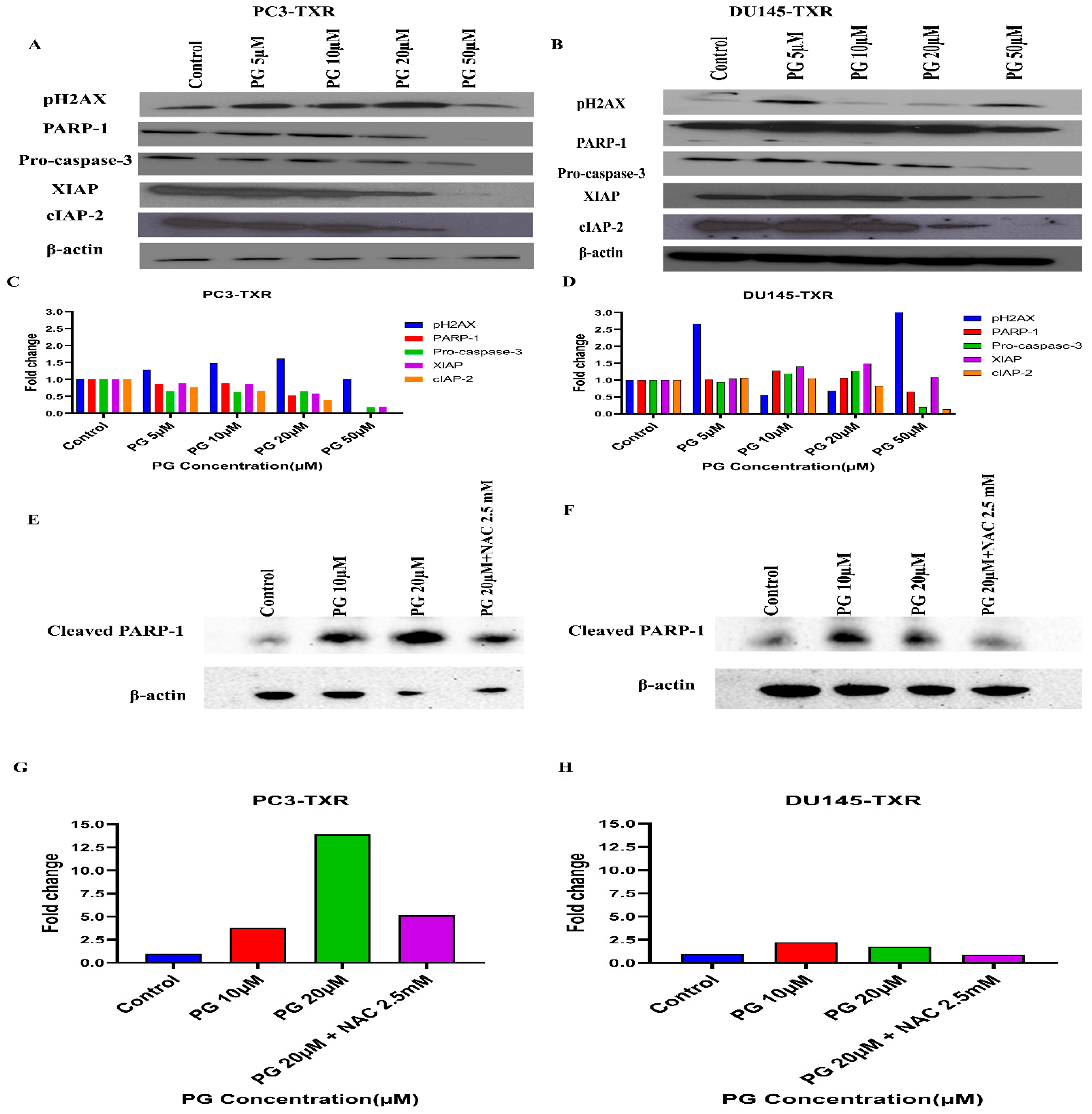 Cancers 14 05260 g013 Cancers 14 05260 g013