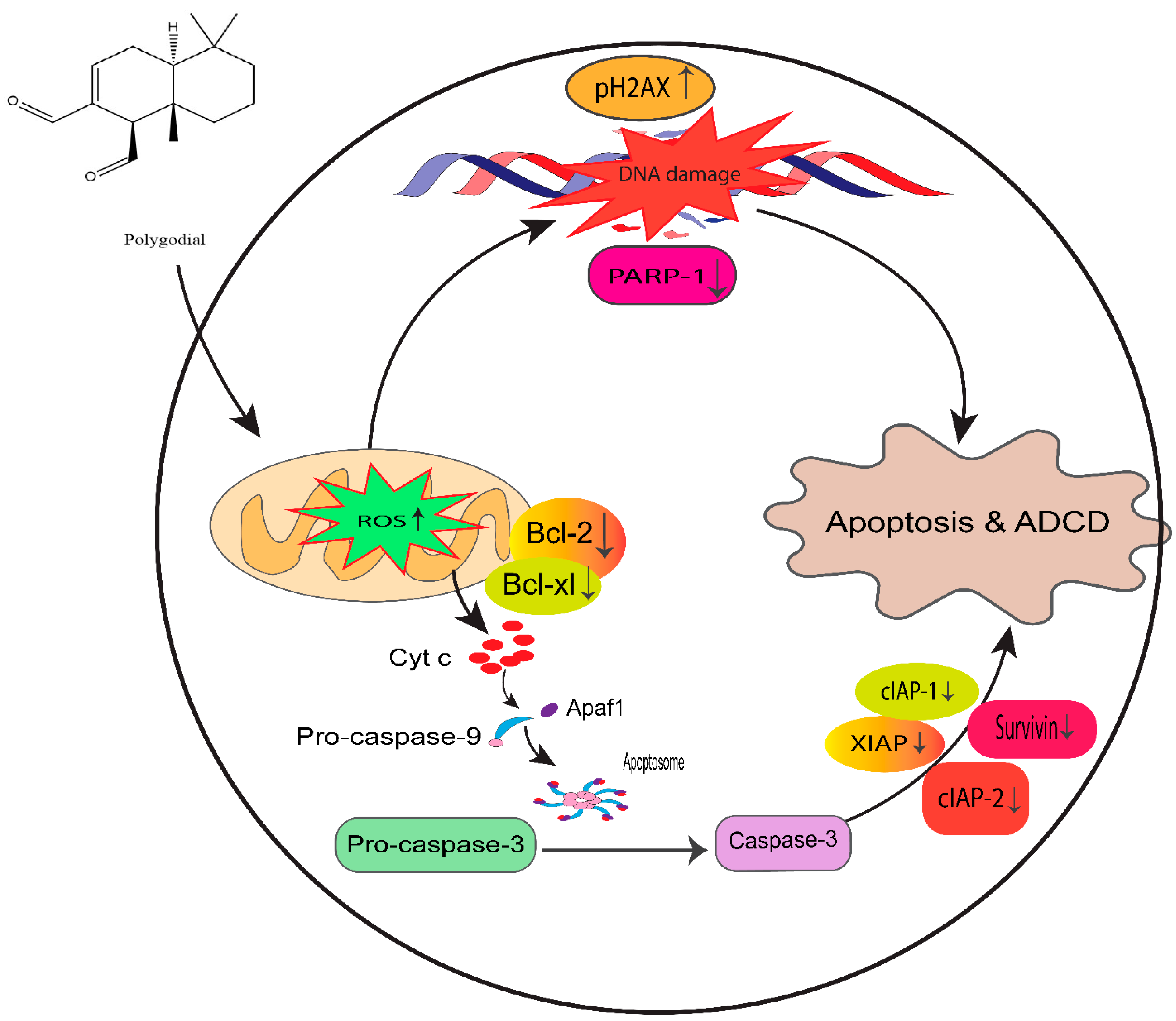 Cancers 14 05260 g014 Cancers 14 05260 g014