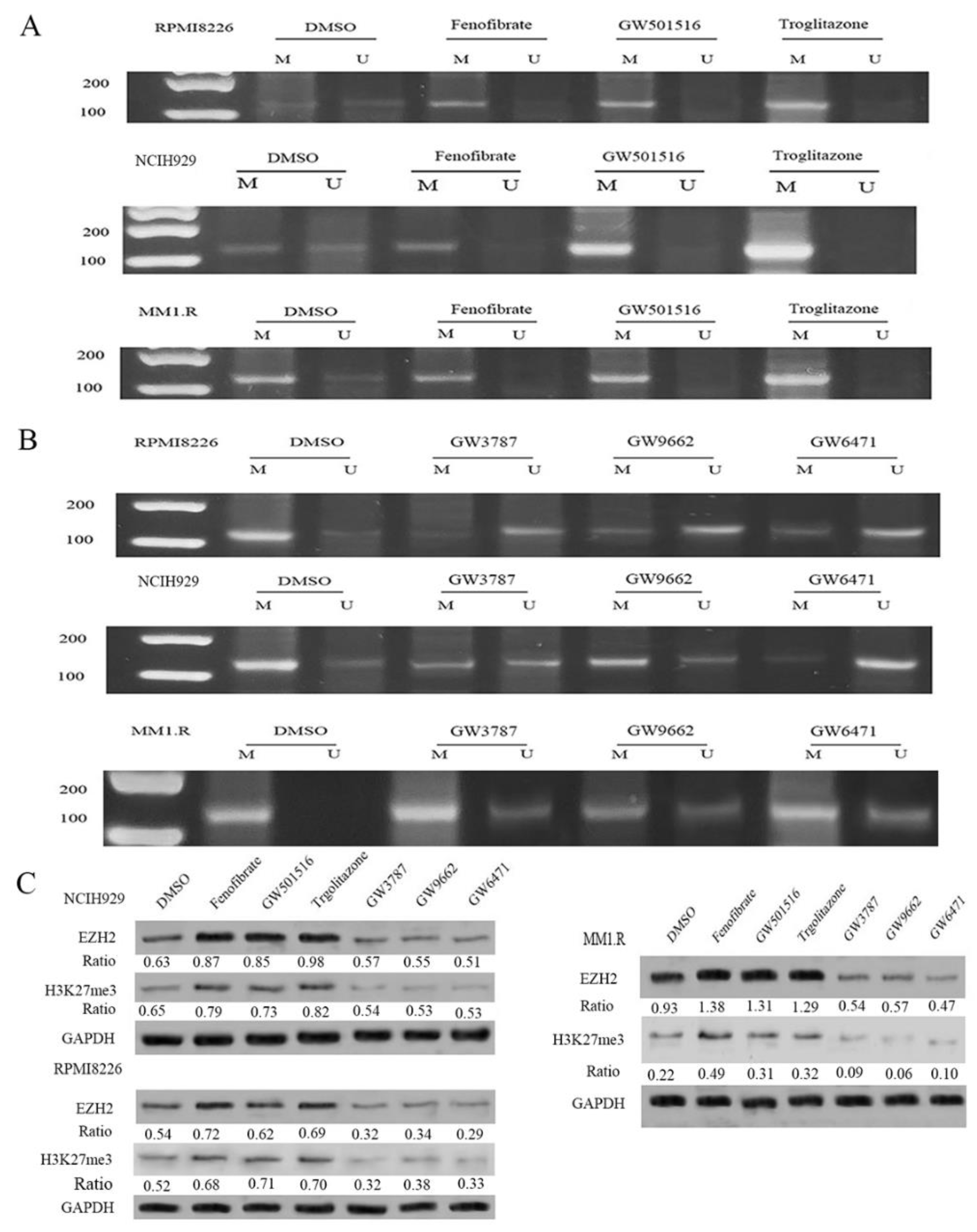 Cancers 14 05272 g002