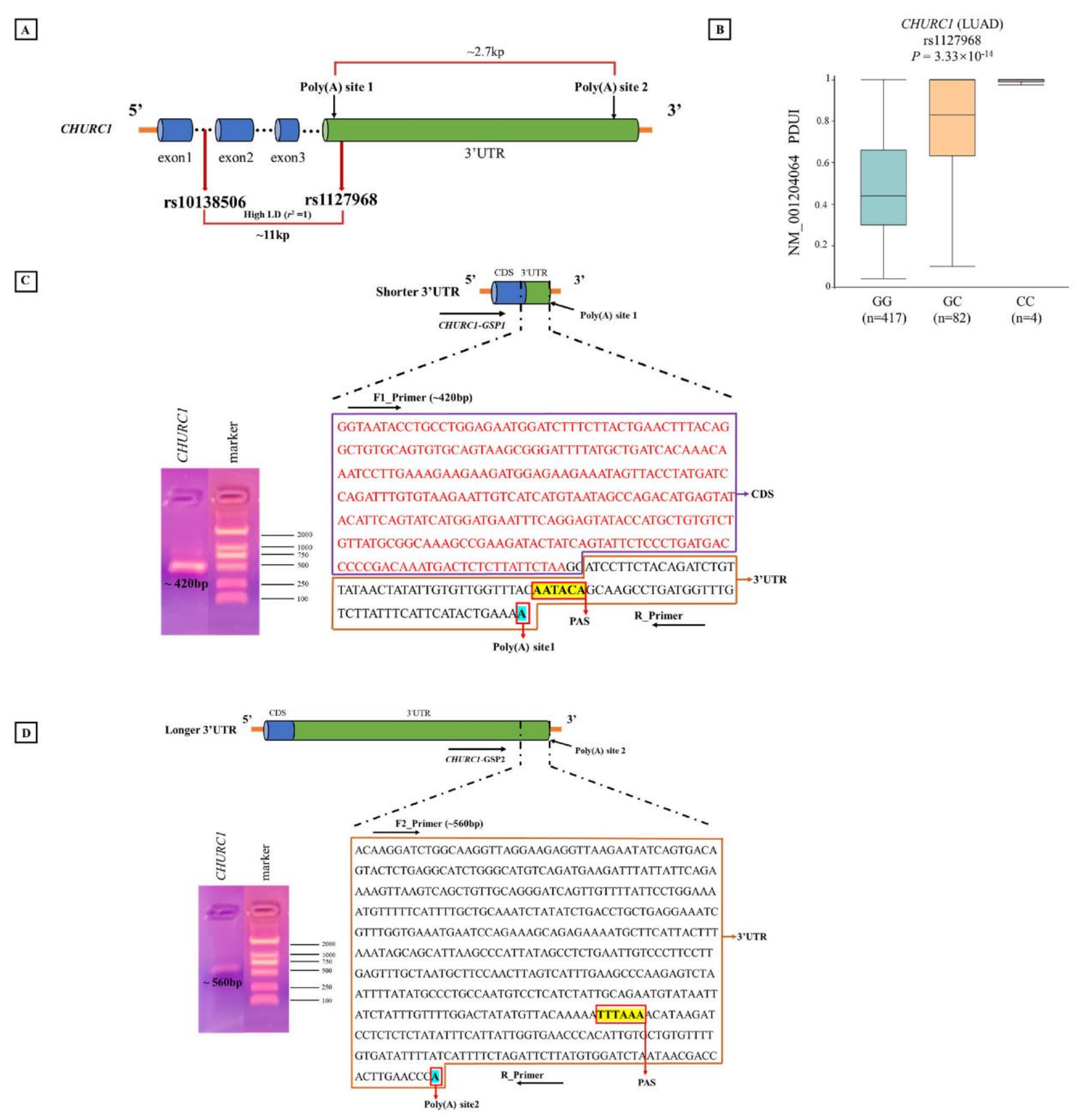Cancers 14 05309 g005