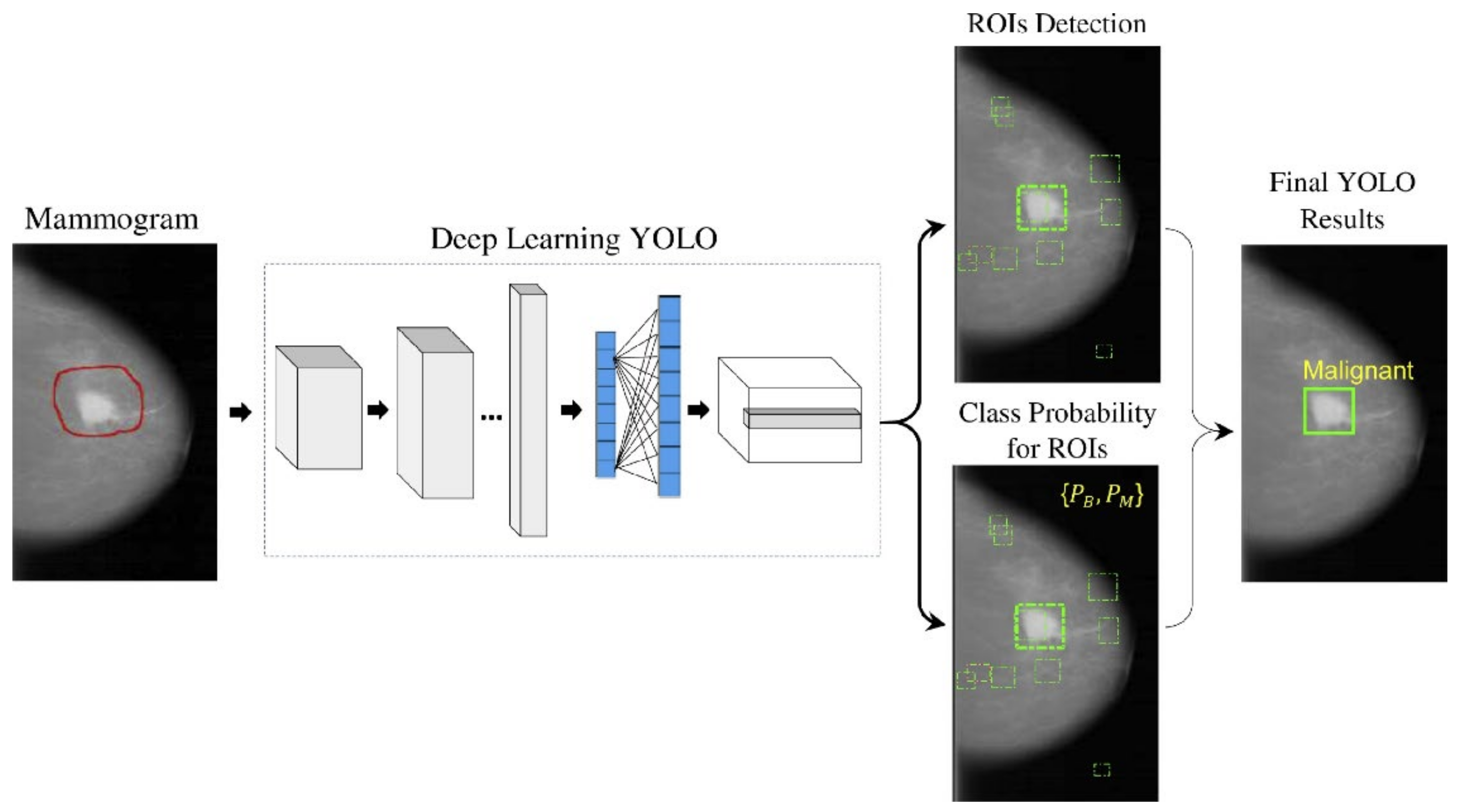 Cancers 14 05334 g007 Cancers 14 05334 g007