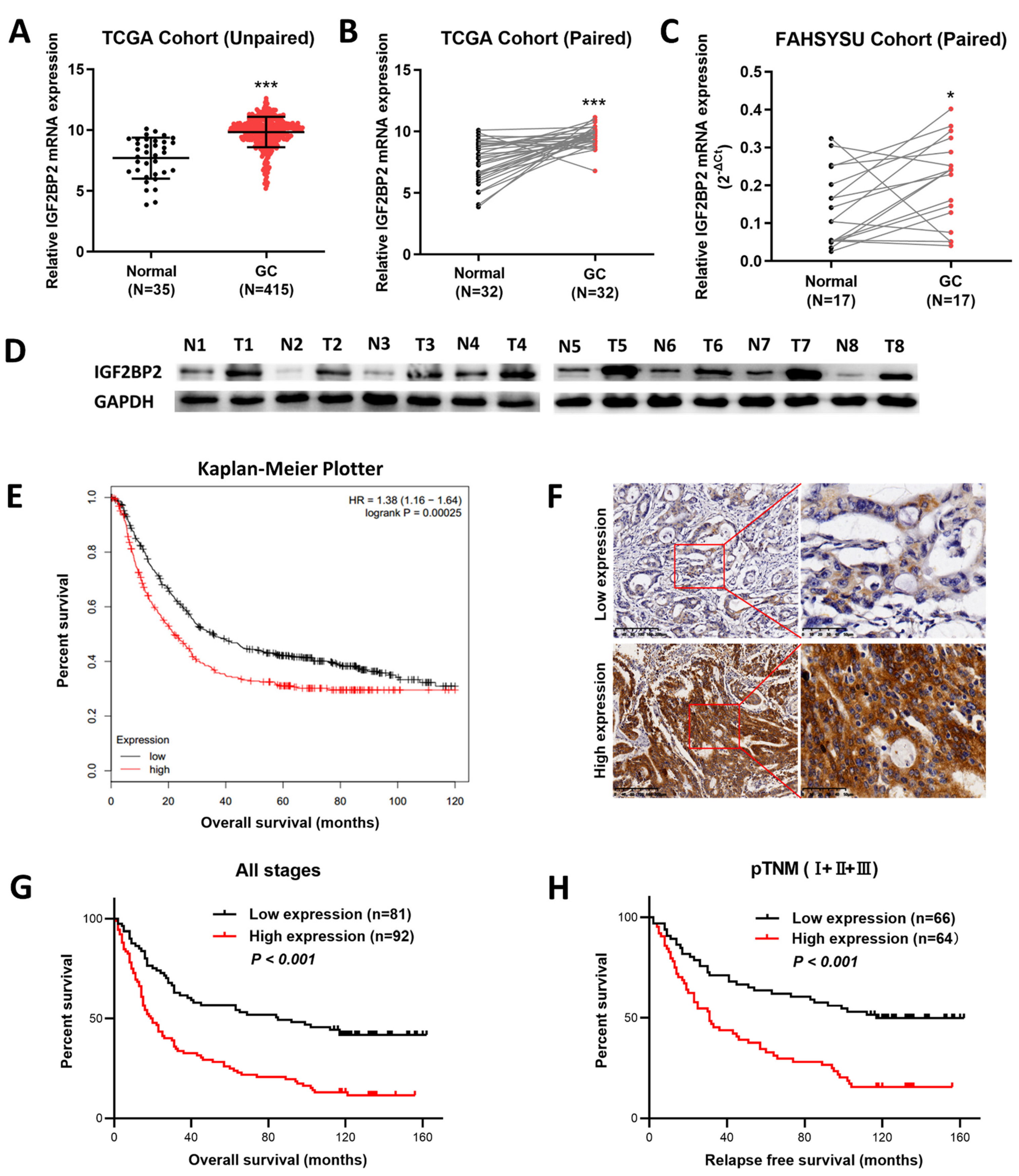 Cancers 14 05381 g001 Cancers 14 05381 g001