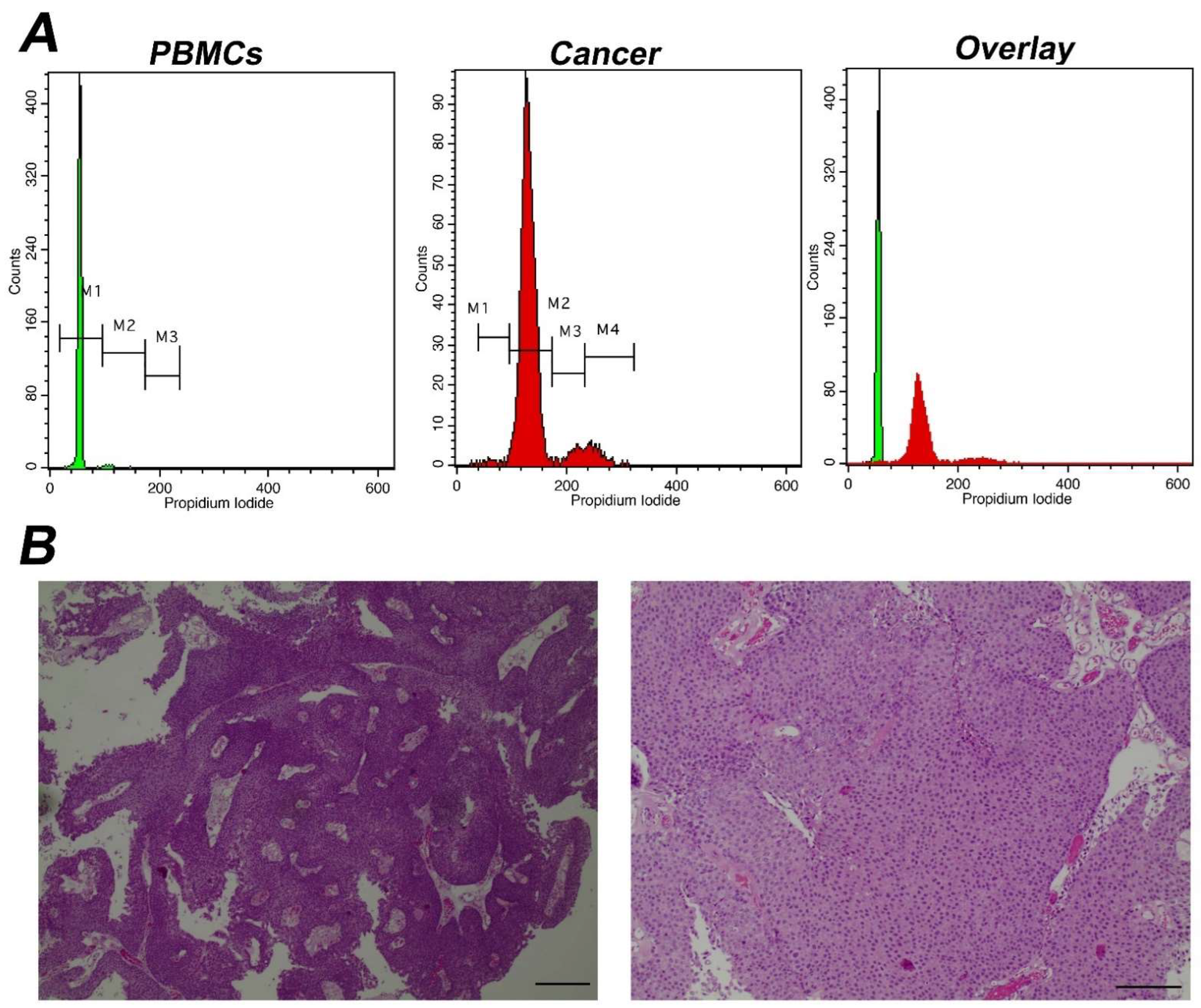 Cancers 14 05440 g001