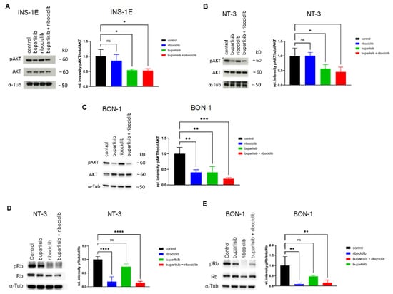 Cancers | Free Full-Text | Combined Targeting of Pathogenetic