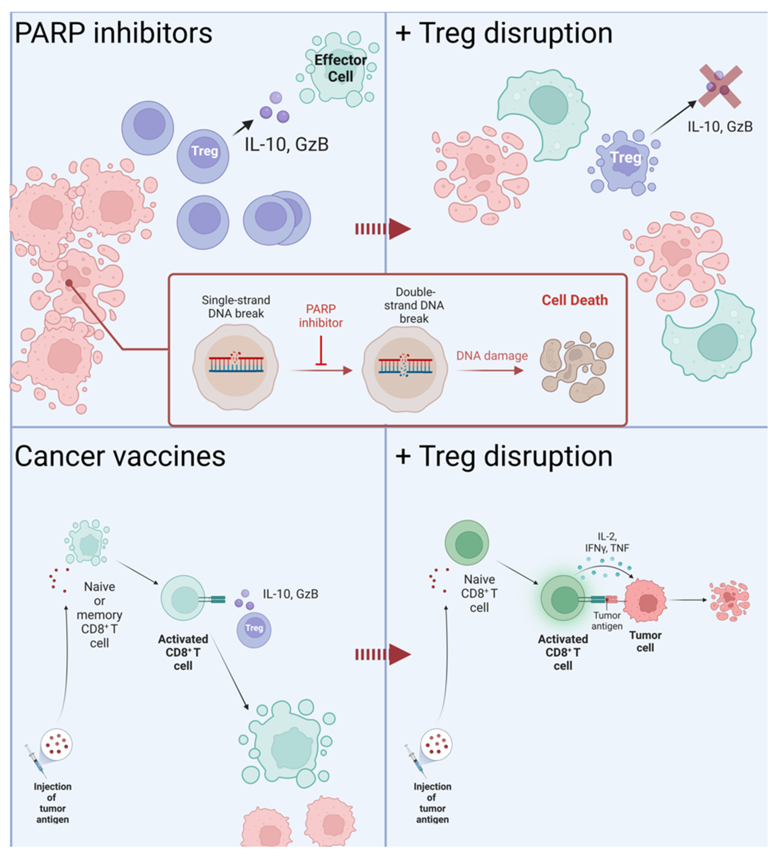 Cancers 14 05488 g005 Cancers 14 05488 g005