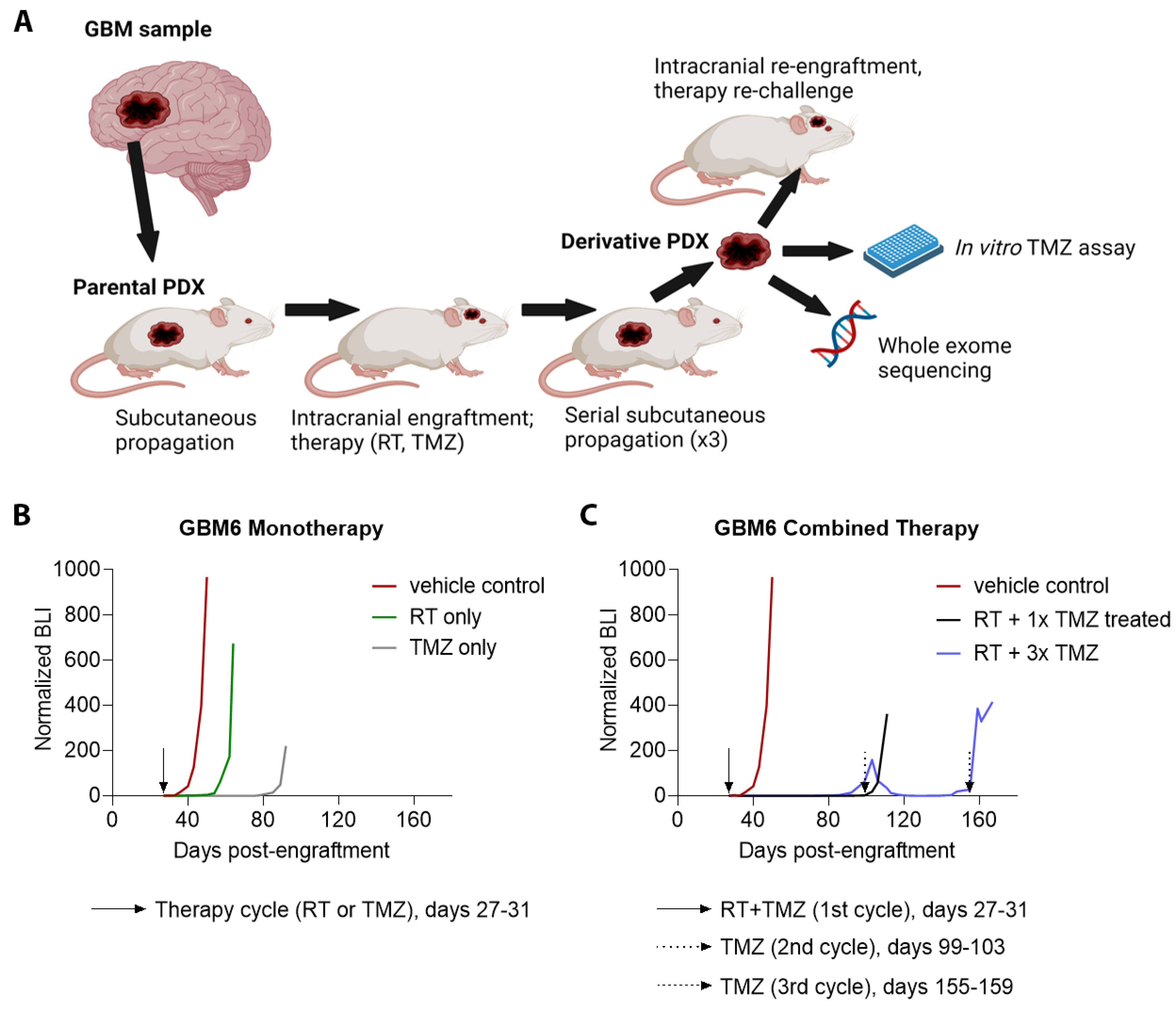 Cancers 14 05494 g001 Cancers 14 05494 g001
