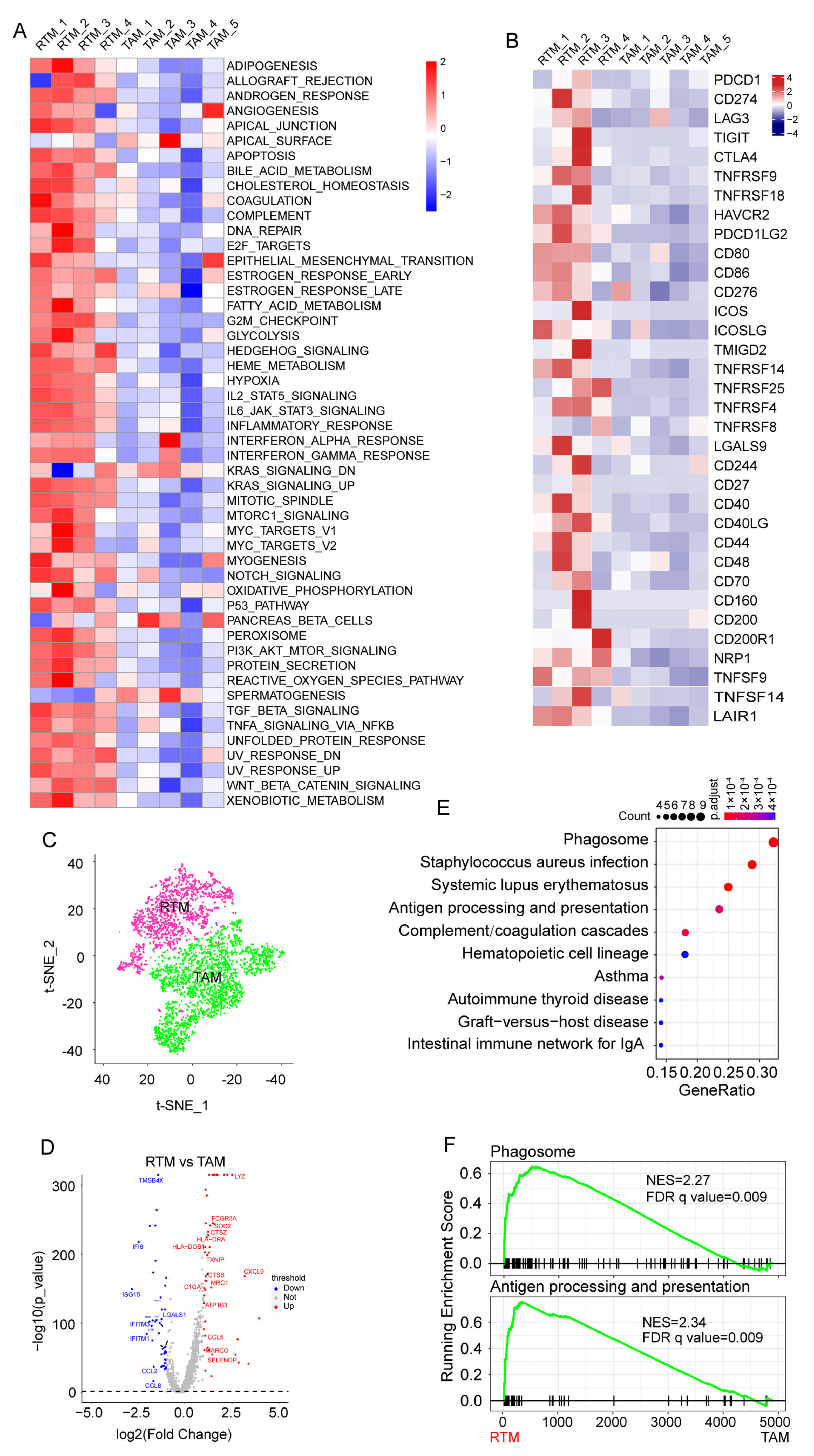 Cancers 14 05506 g002