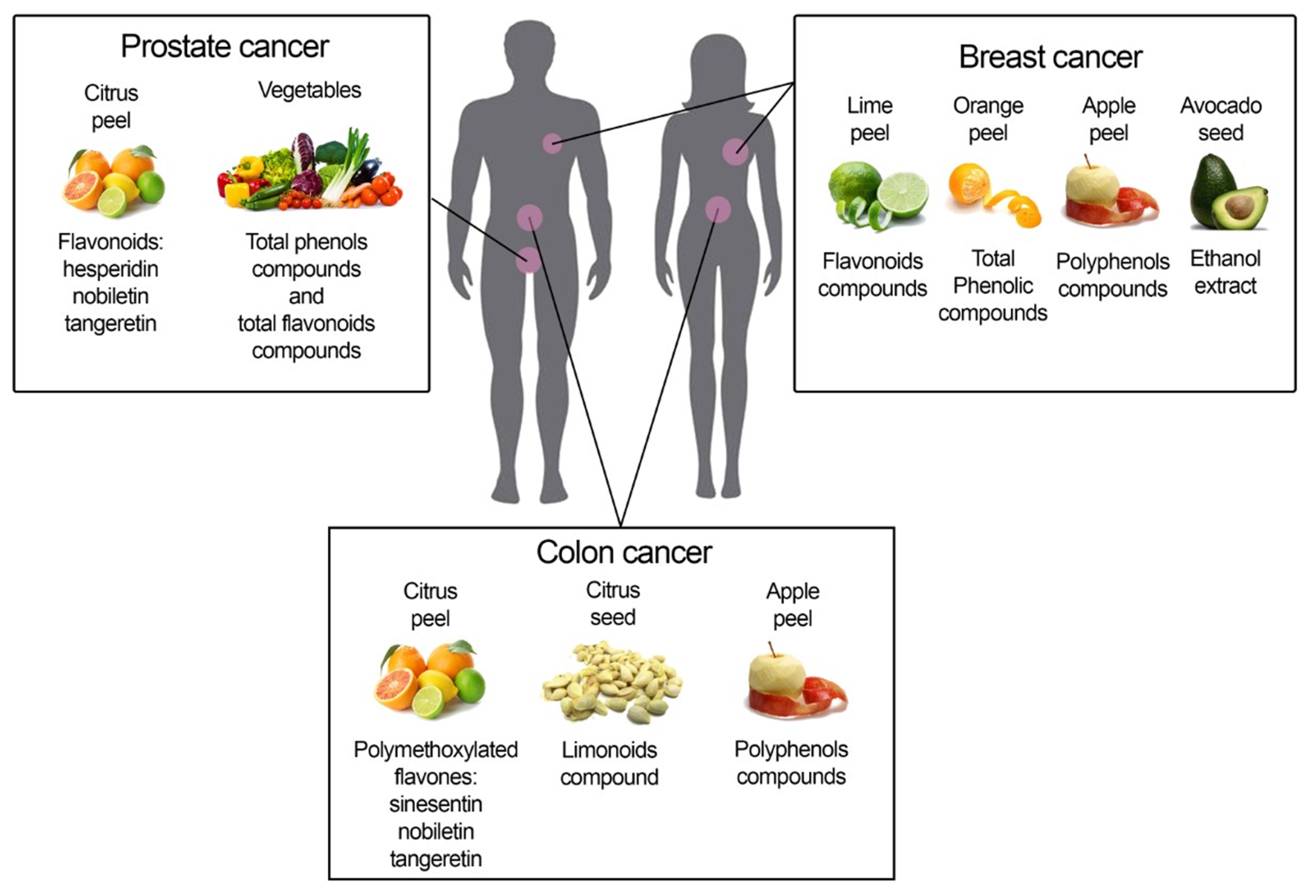 Cancers | Free Full-Text | Agri-Food By-Products in Cancer: New Targets and  Strategies