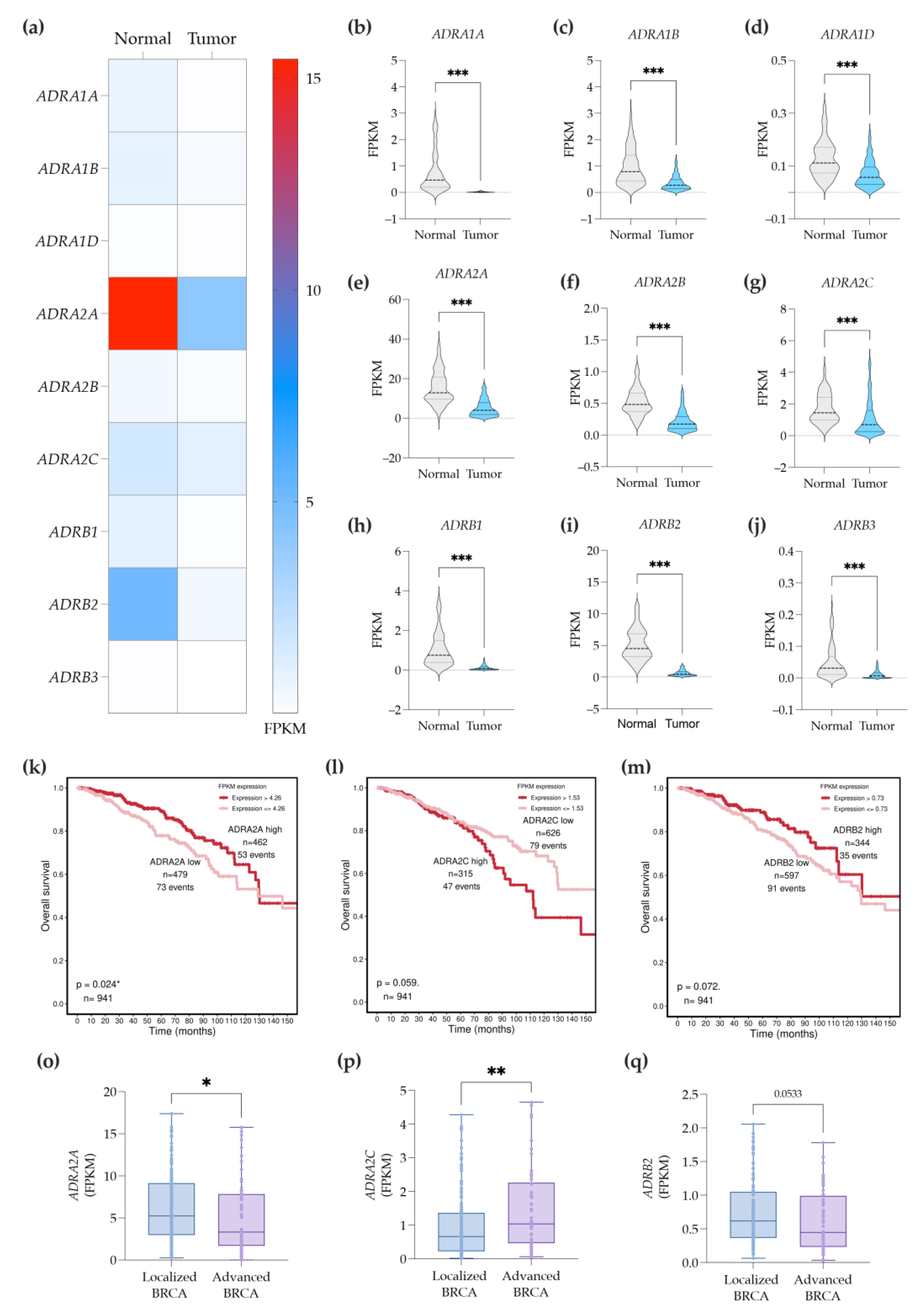 Cancers 14 05518 g003 Cancers 14 05518 g003