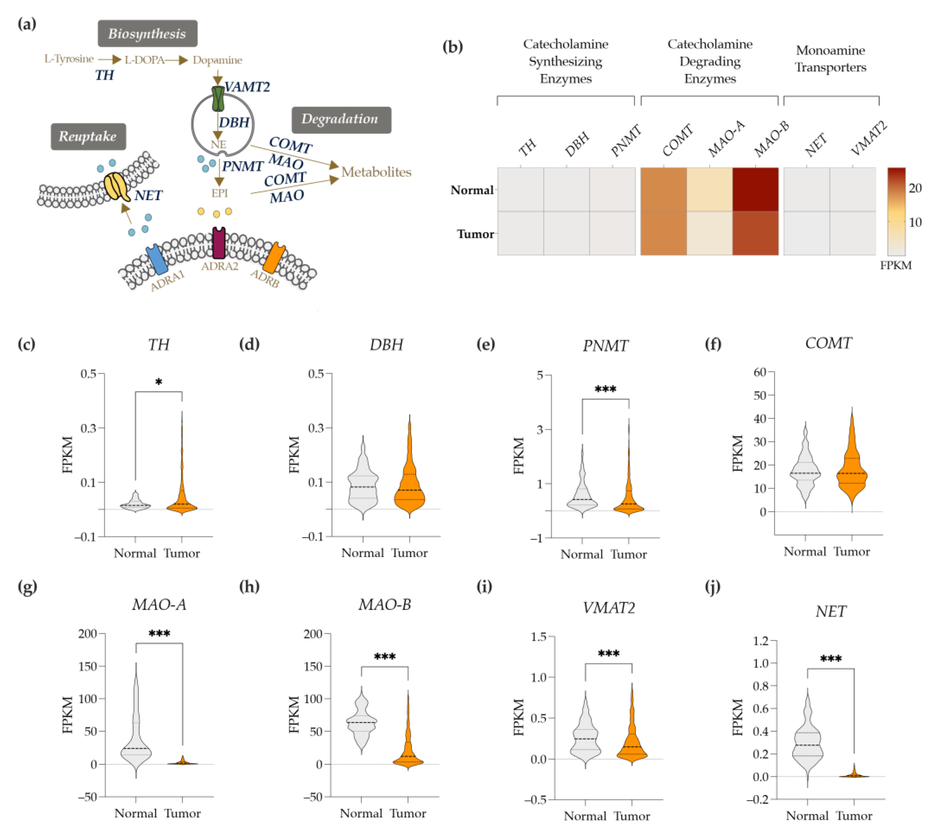 Cancers 14 05518 g005 Cancers 14 05518 g005