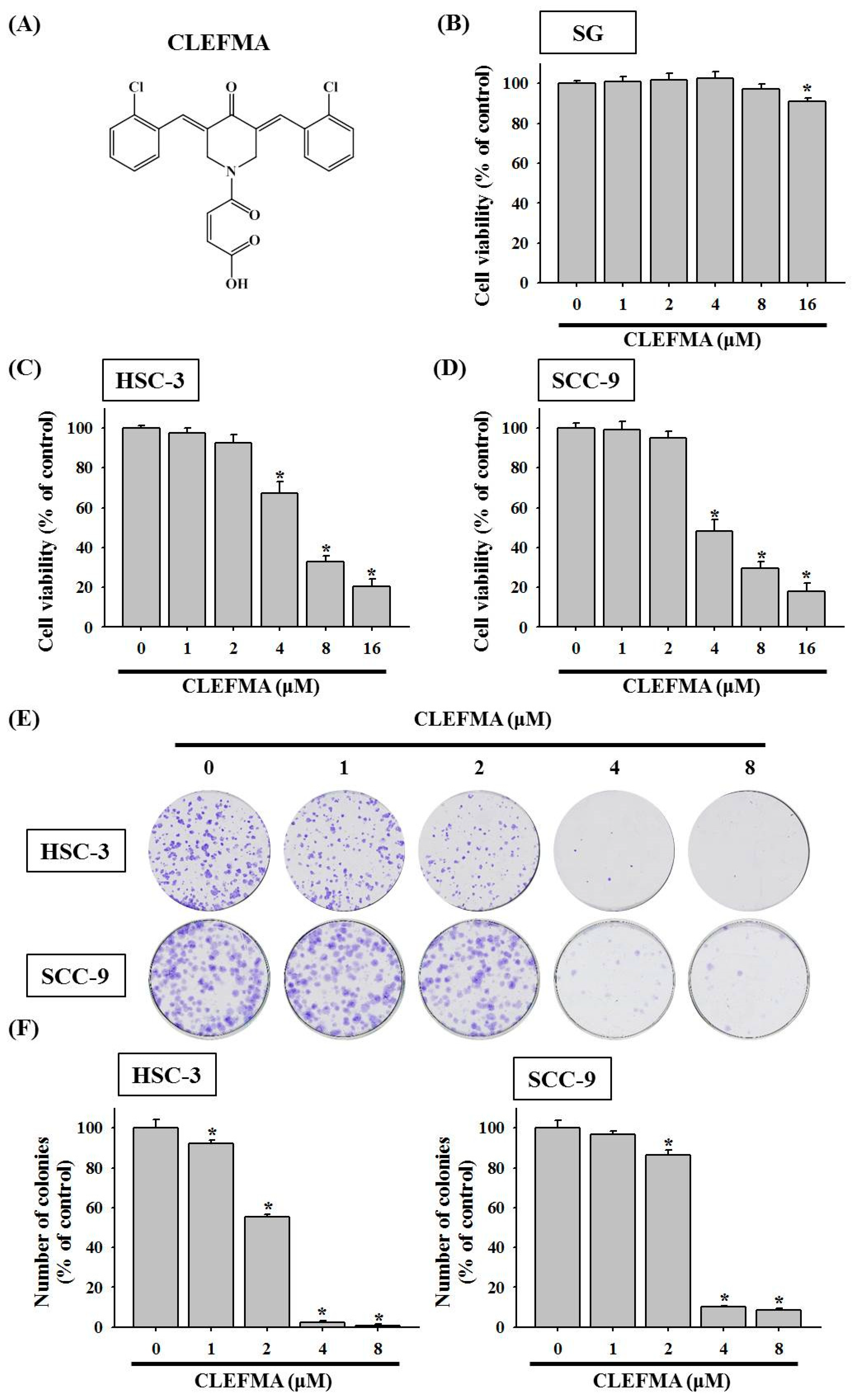 Cancers 14 05519 g001a