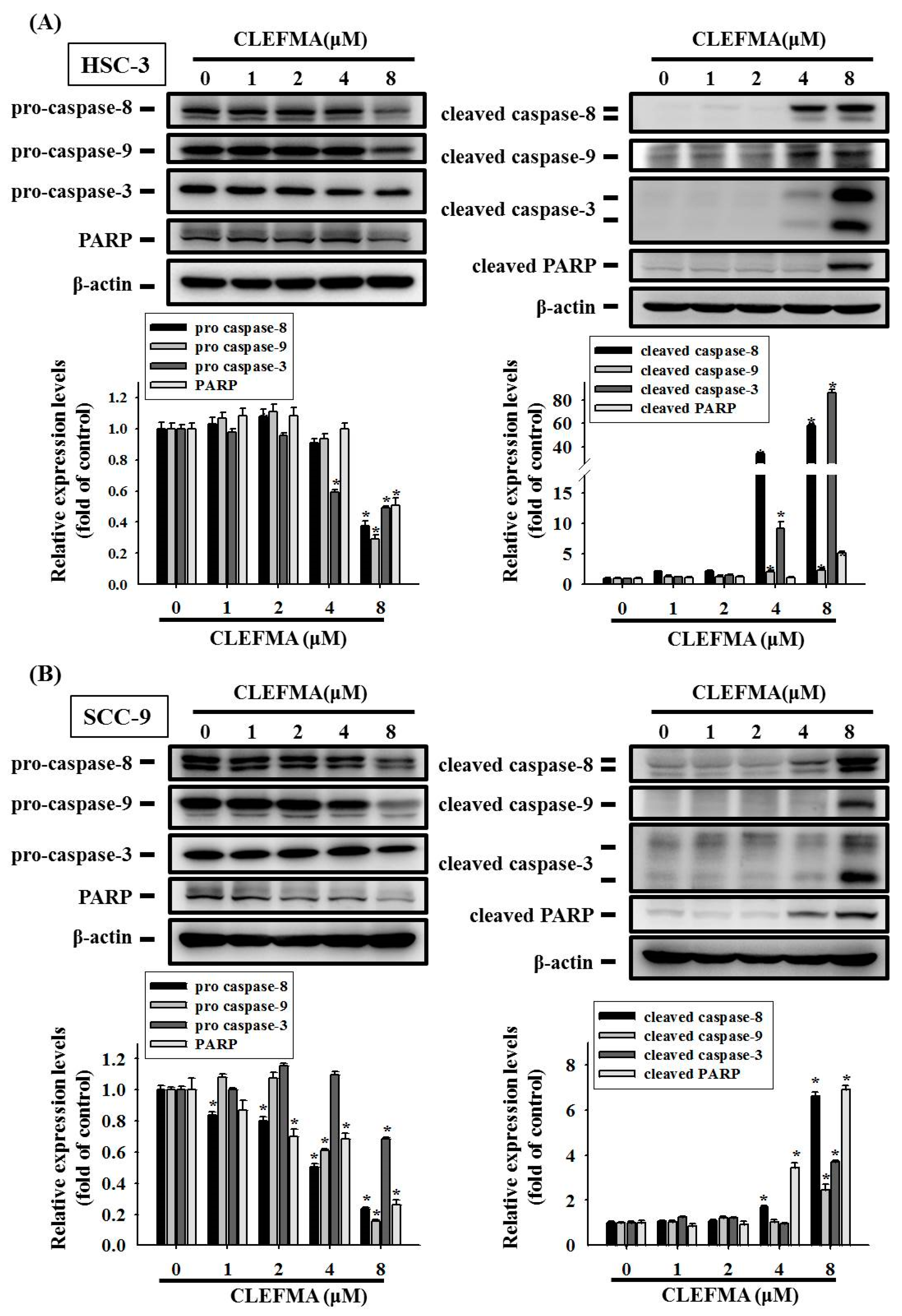 Cancers 14 05519 g005