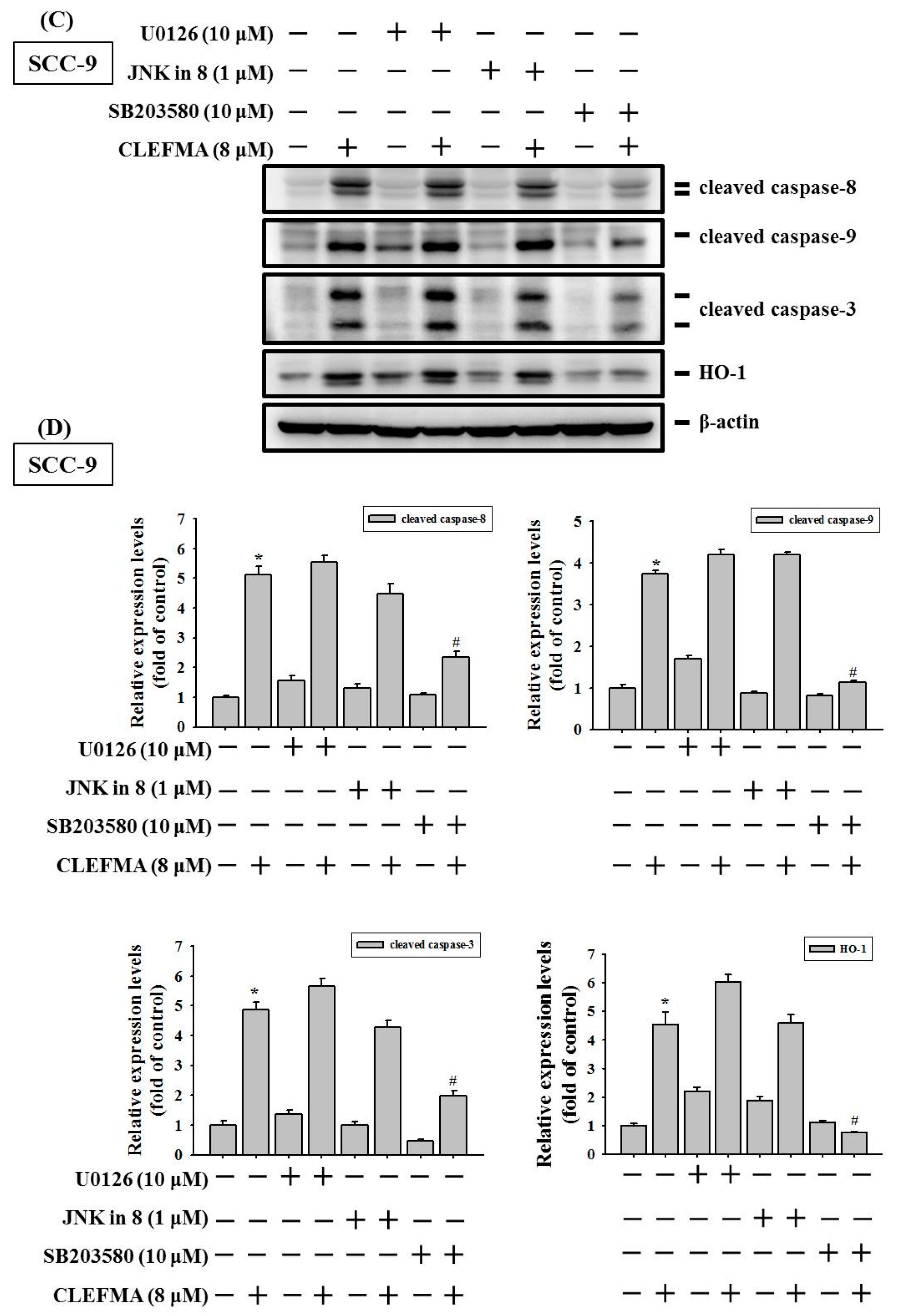 Cancers 14 05519 g008b