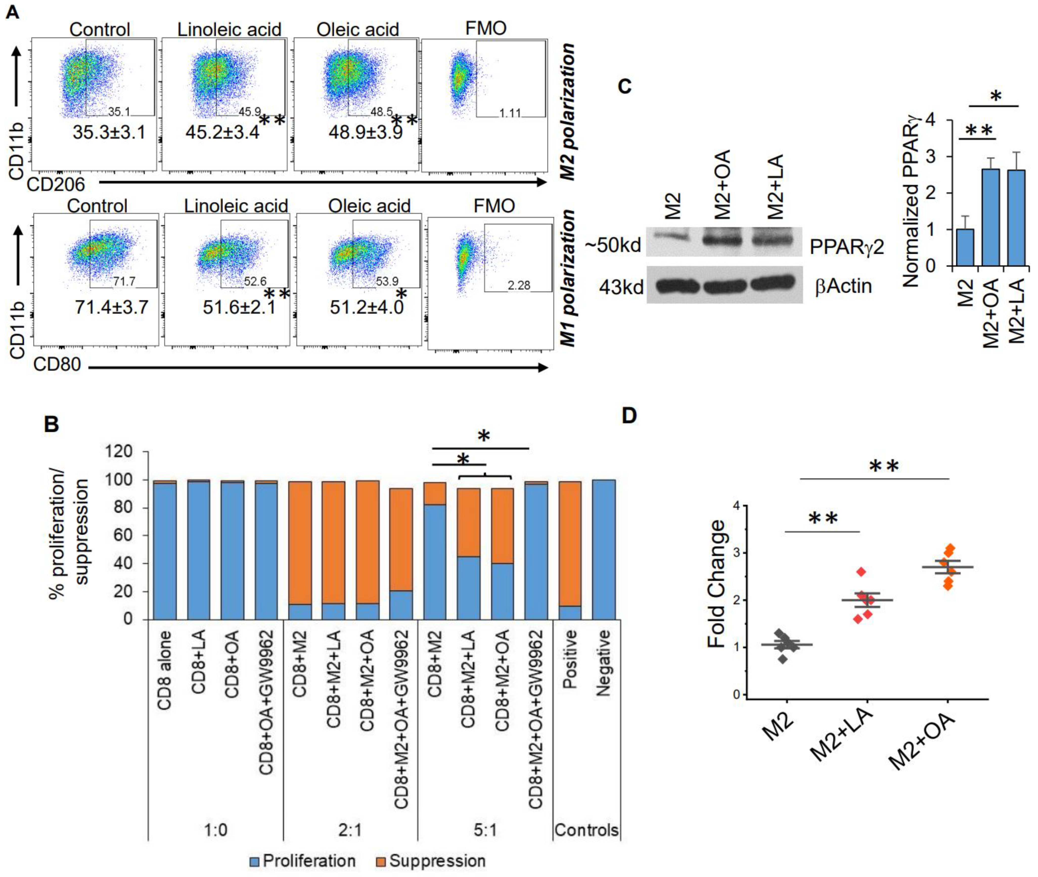 Cancers 14 05550 g003a Cancers 14 05550 g003a