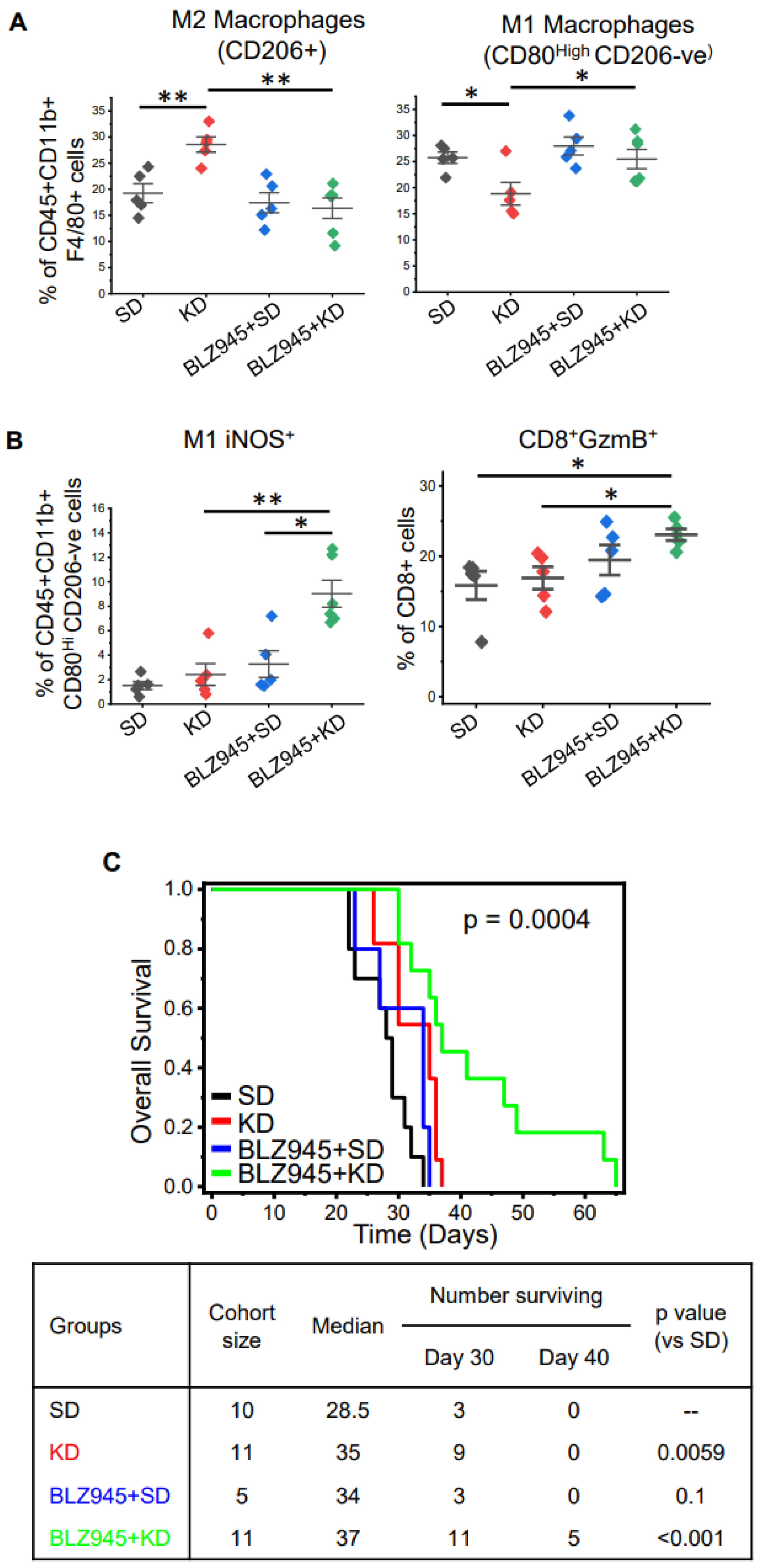 Cancers 14 05550 g004 Cancers 14 05550 g004
