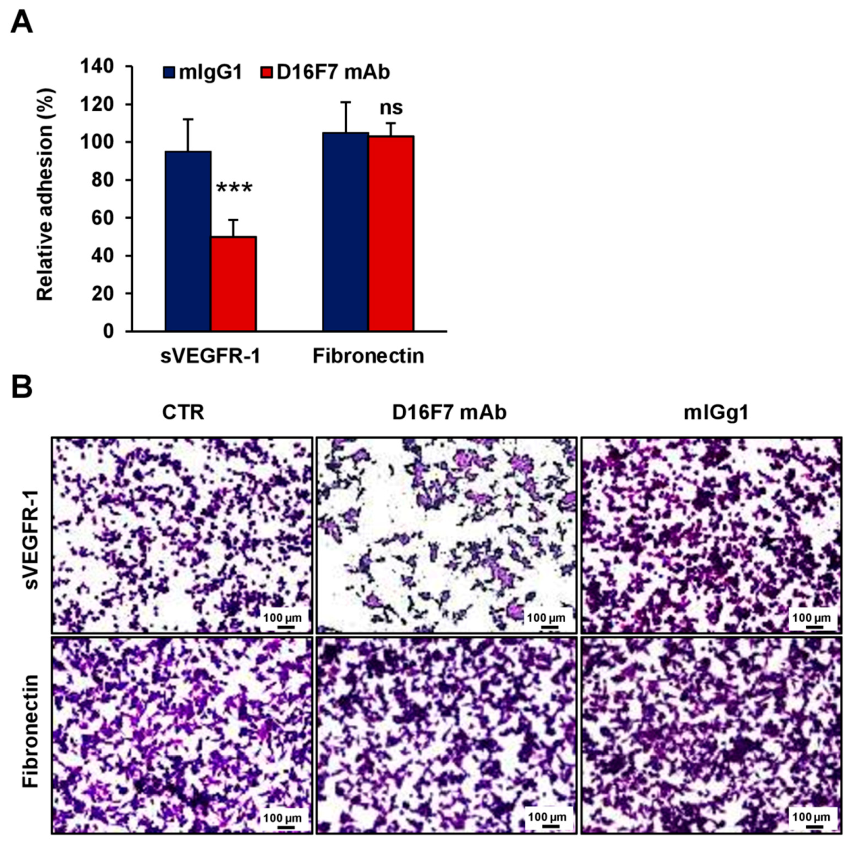 Cancers 14 05578 g004 Cancers 14 05578 g004