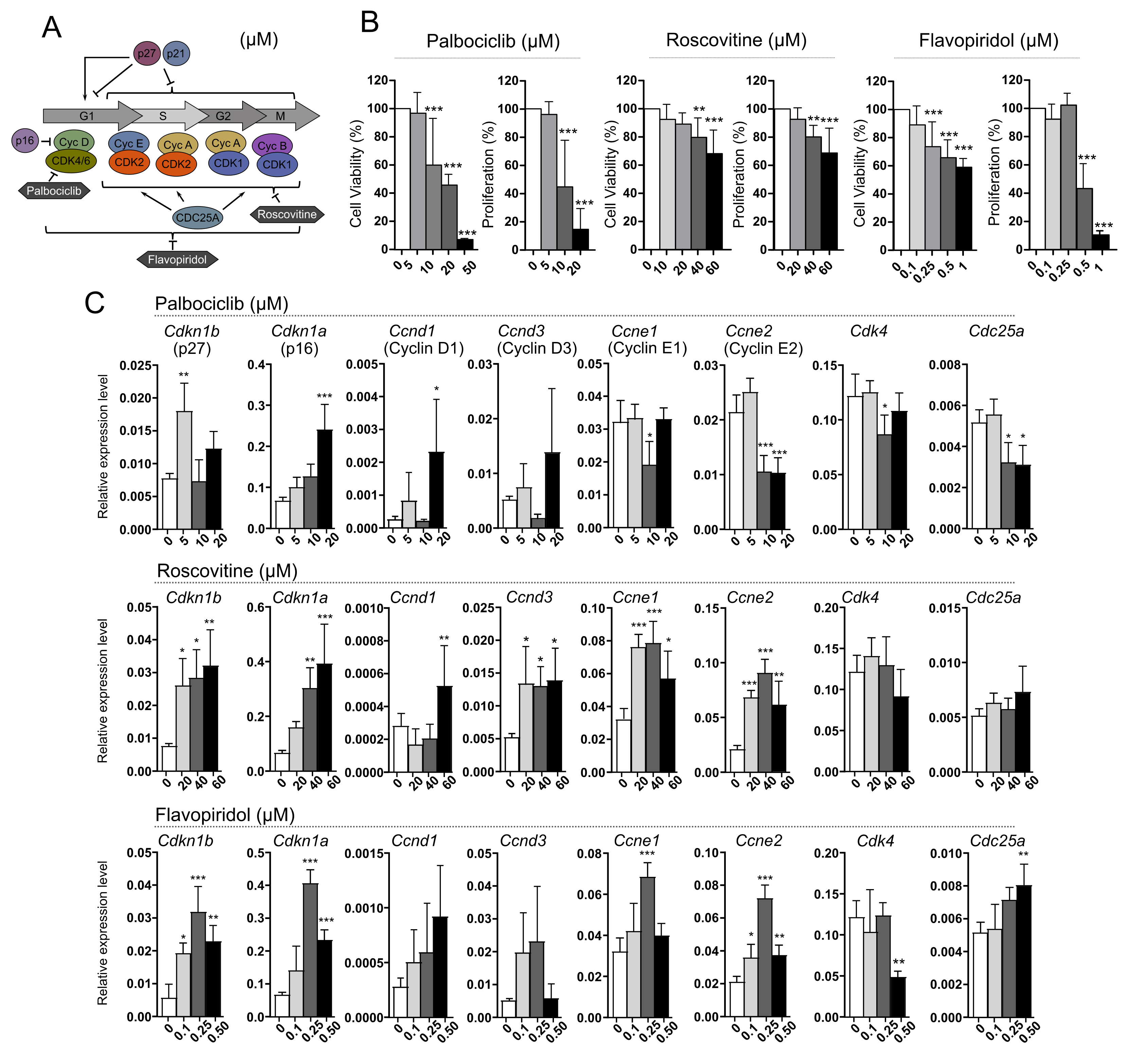 Cancers 14 05594 g003