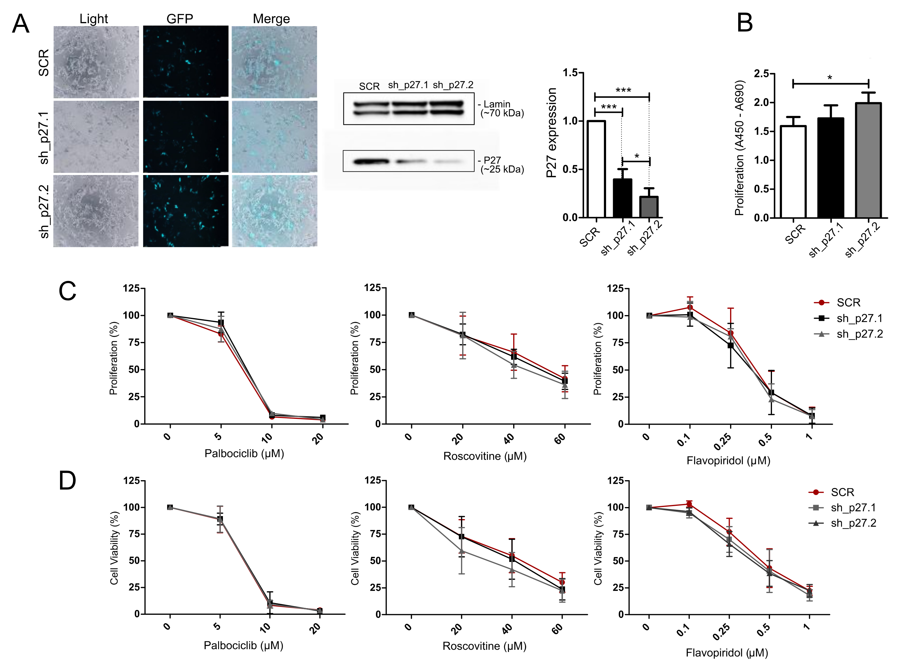 Cancers 14 05594 g005
