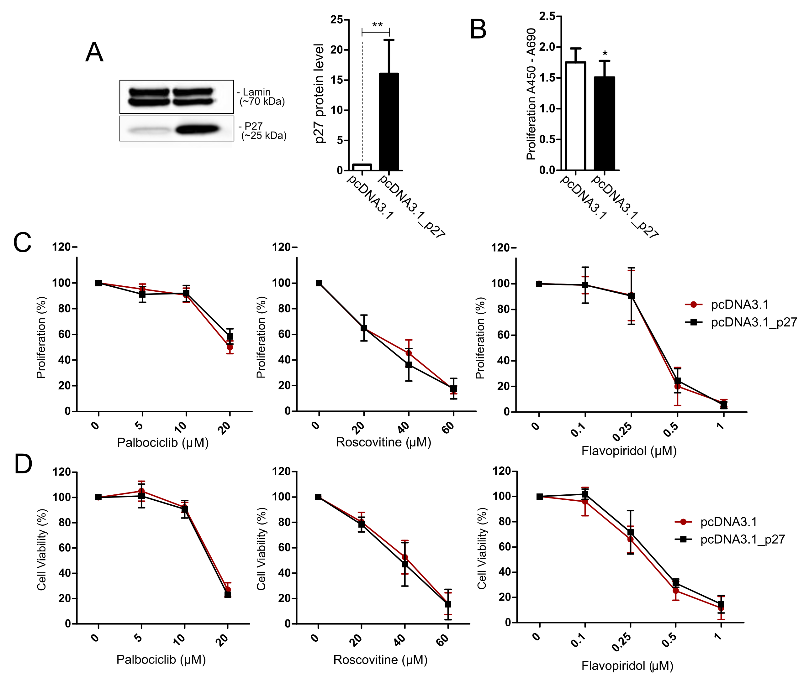 Cancers 14 05594 g006