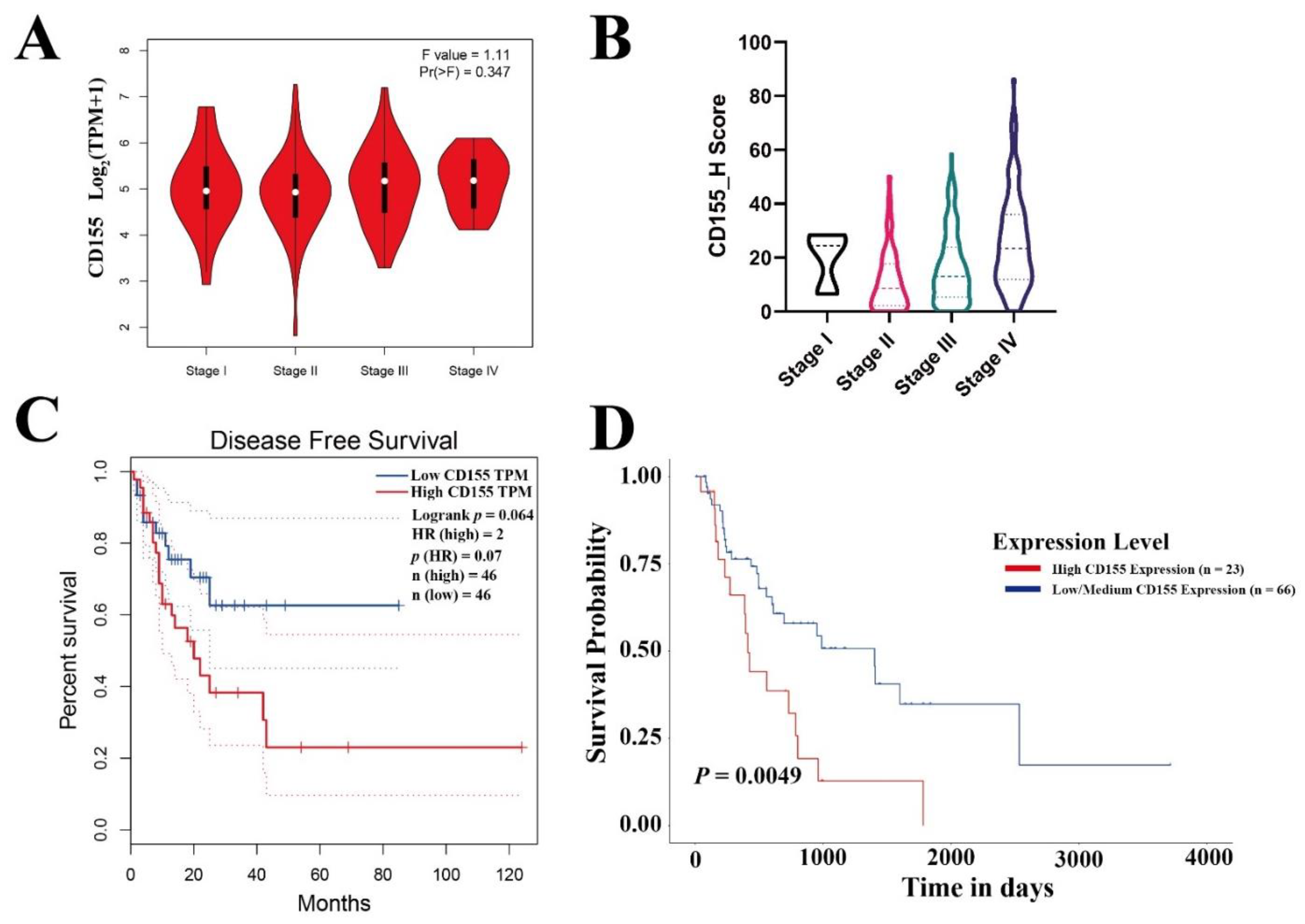 Cancers 14 05610 g002