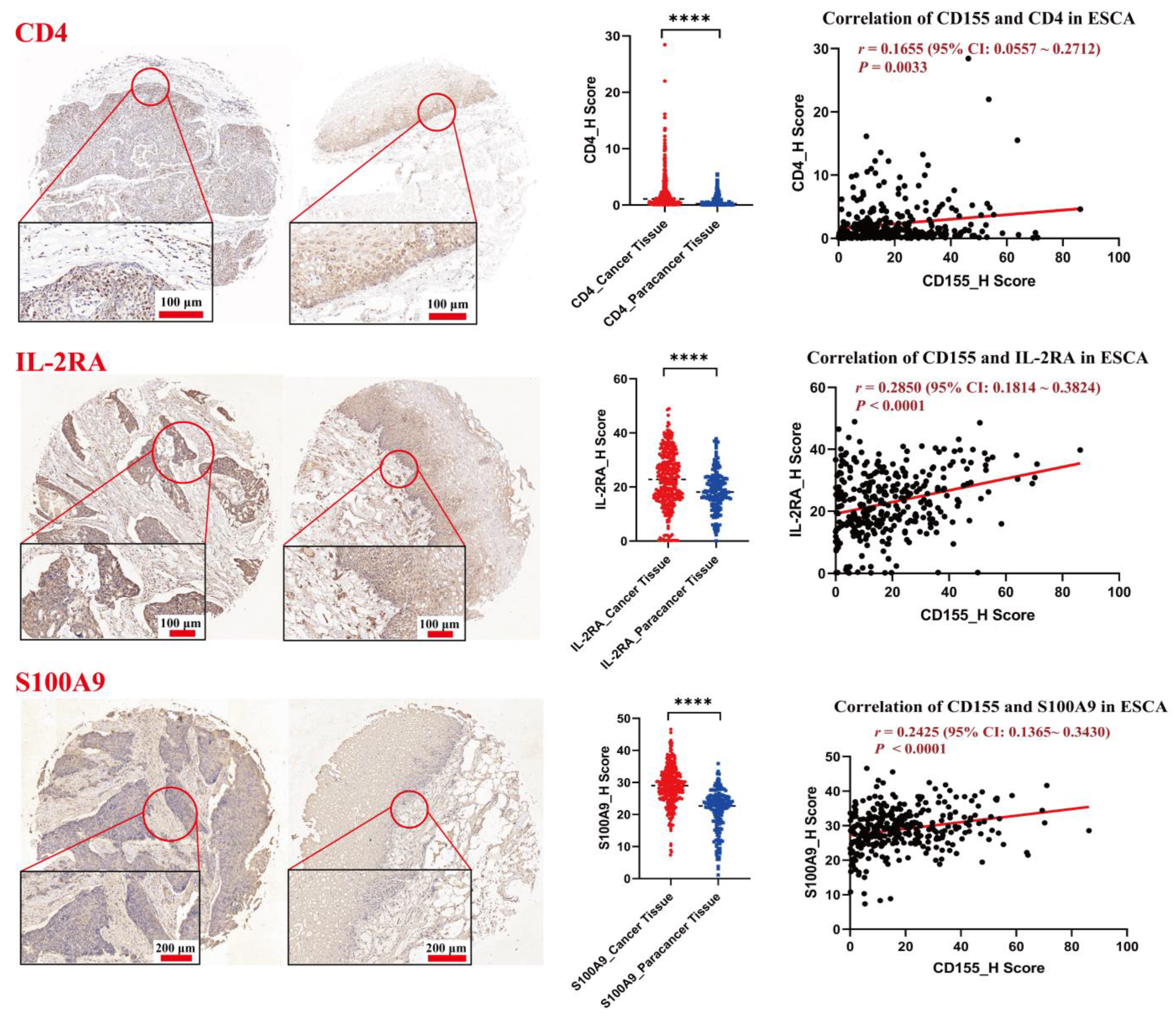 Cancers 14 05610 g004