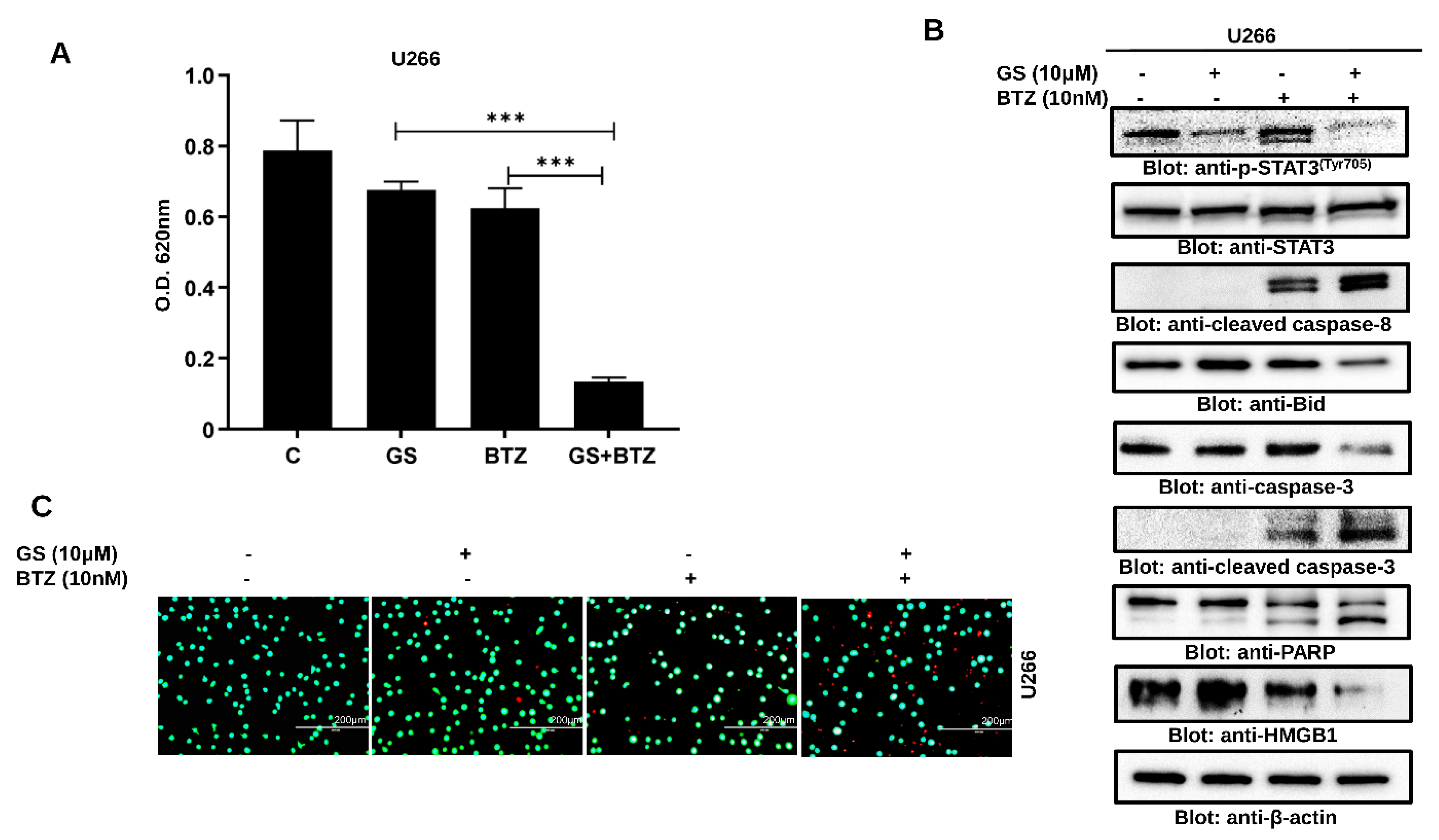 Cancers 14 05621 g008