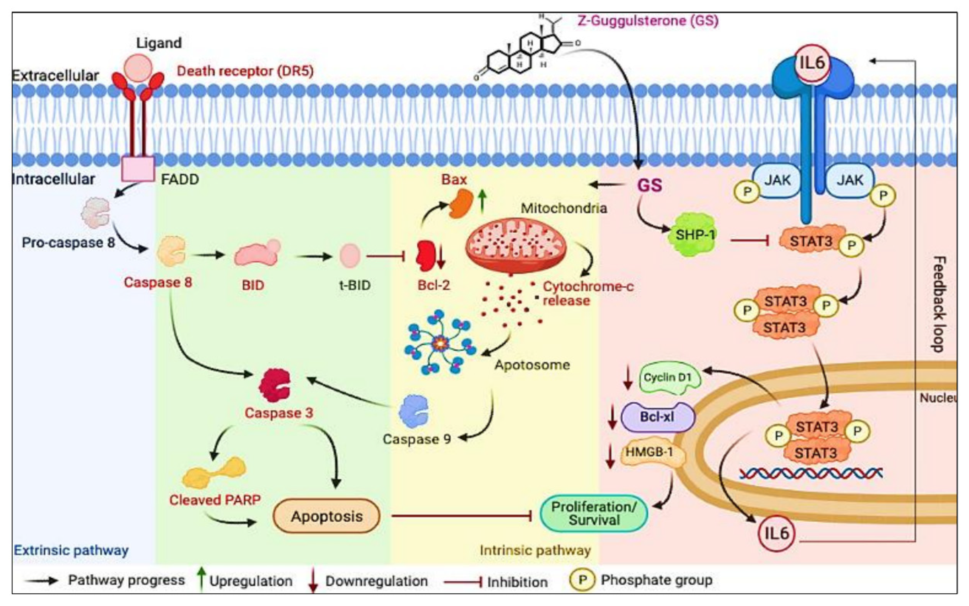 Cancers 14 05621 g009