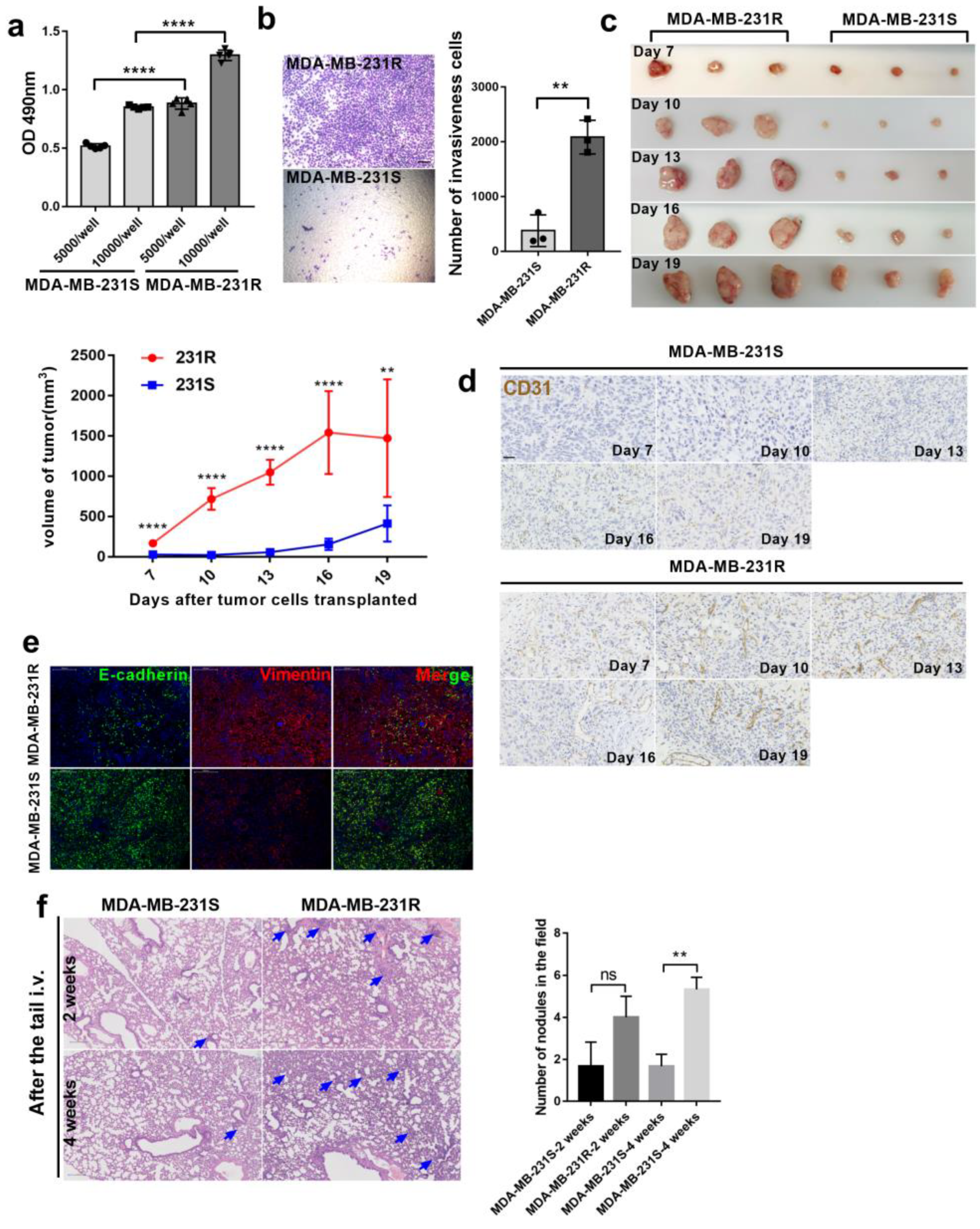 Cancers 14 05681 g001 Cancers 14 05681 g001