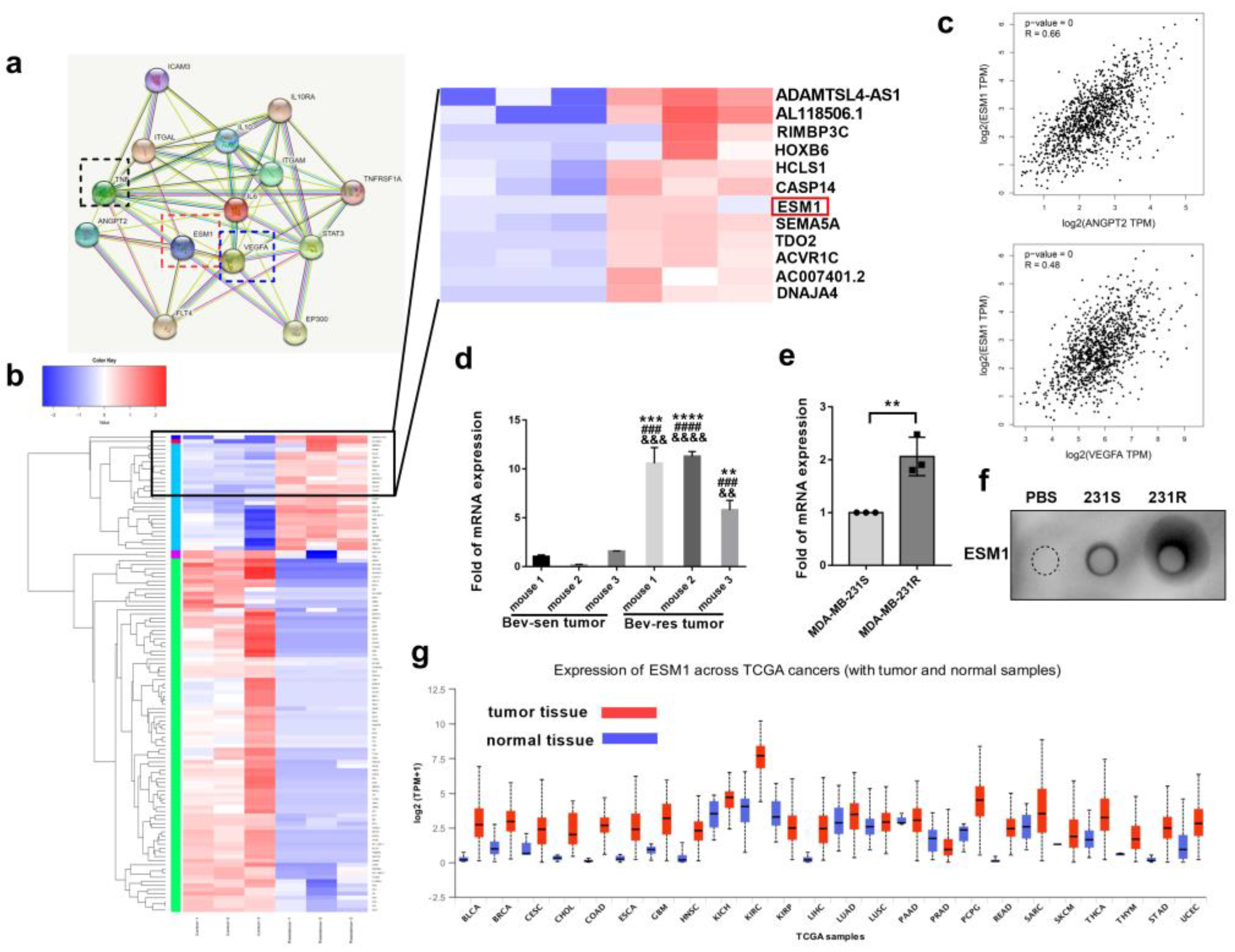 Cancers 14 05681 g002 Cancers 14 05681 g002