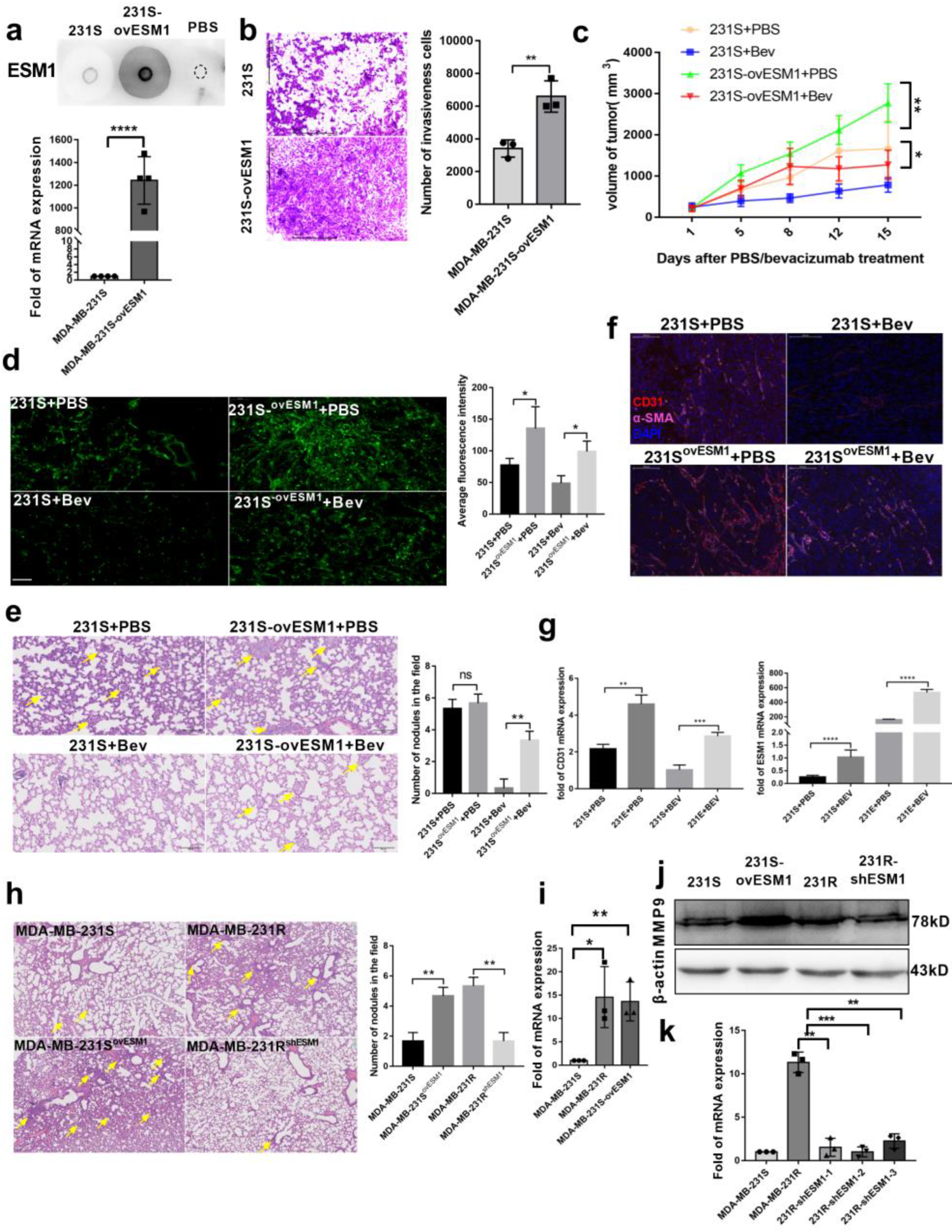 Cancers 14 05681 g003 Cancers 14 05681 g003